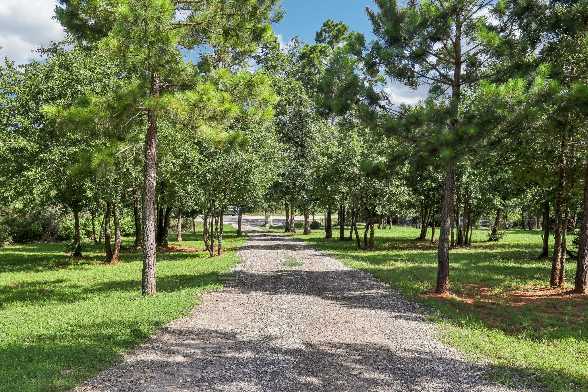 188 William Higgins Dr, Bastrop, TX 78602
