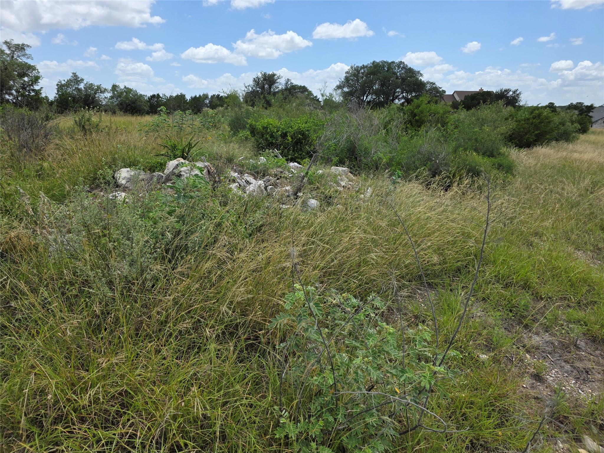 LOT 206 Enchanted Oak Pt, Spicewood, TX 78669