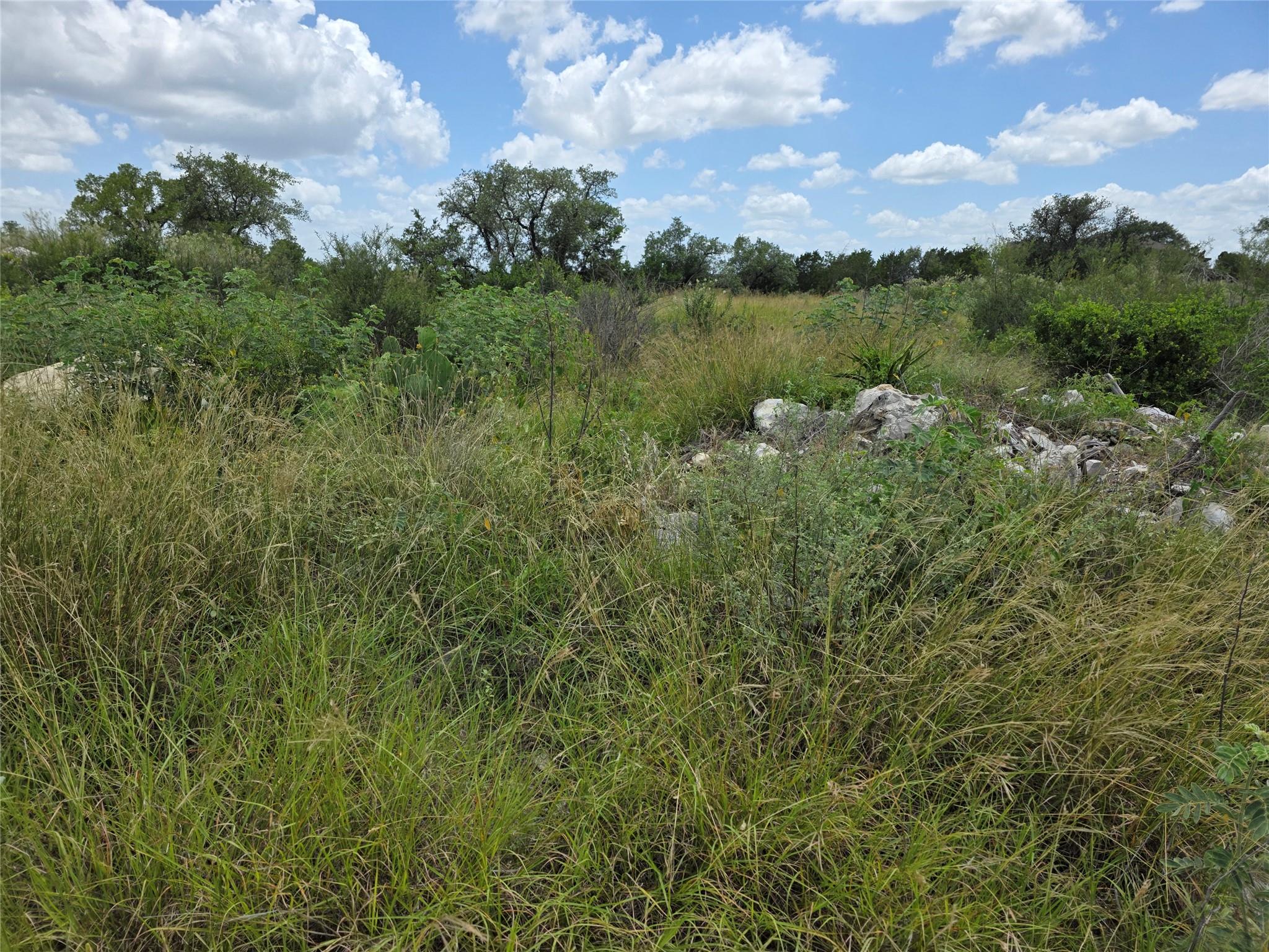 LOT 206 Enchanted Oak Pt, Spicewood, TX 78669