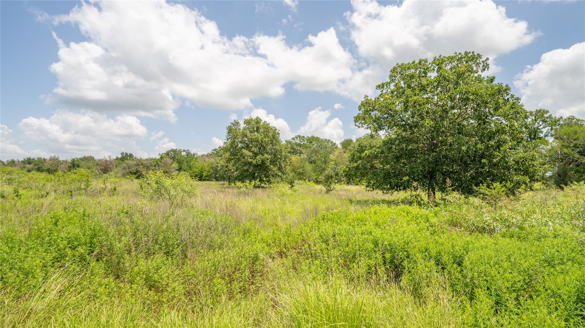 5672 County Road 314, Rockdale, TX 76567