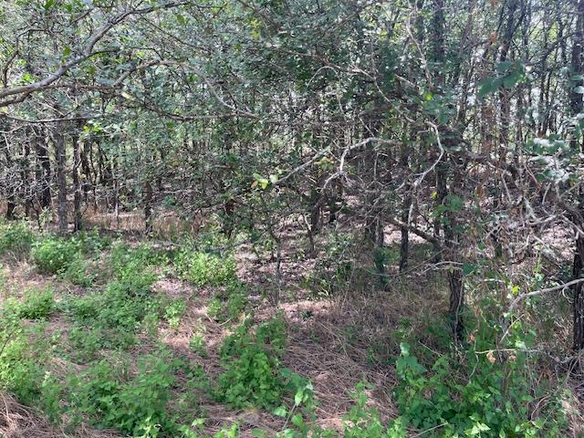 103 Mann Ln, Cedar Creek, TX 78612