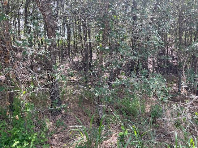 103 Mann Ln, Cedar Creek, TX 78612