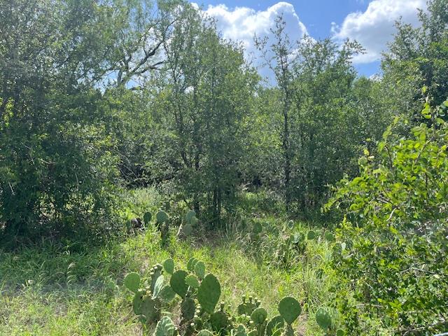 103 Mann Ln, Cedar Creek, TX 78612