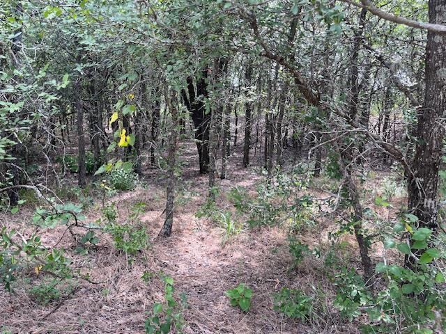 103 Mann Ln, Cedar Creek, TX 78612