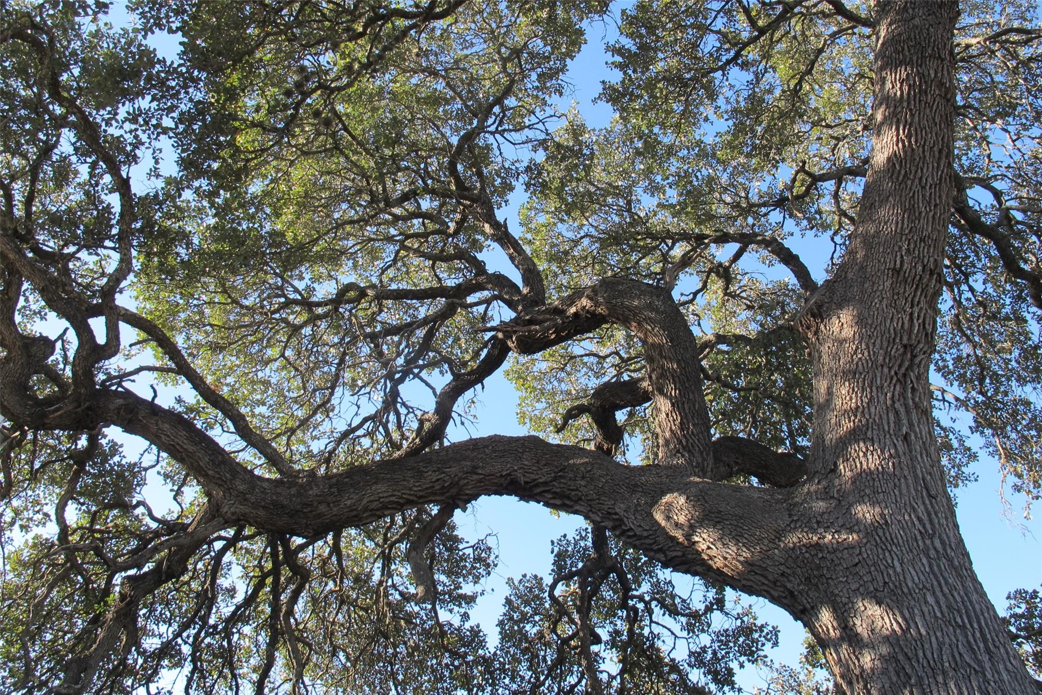 600 S Bagdad Rd, Leander, TX 78641