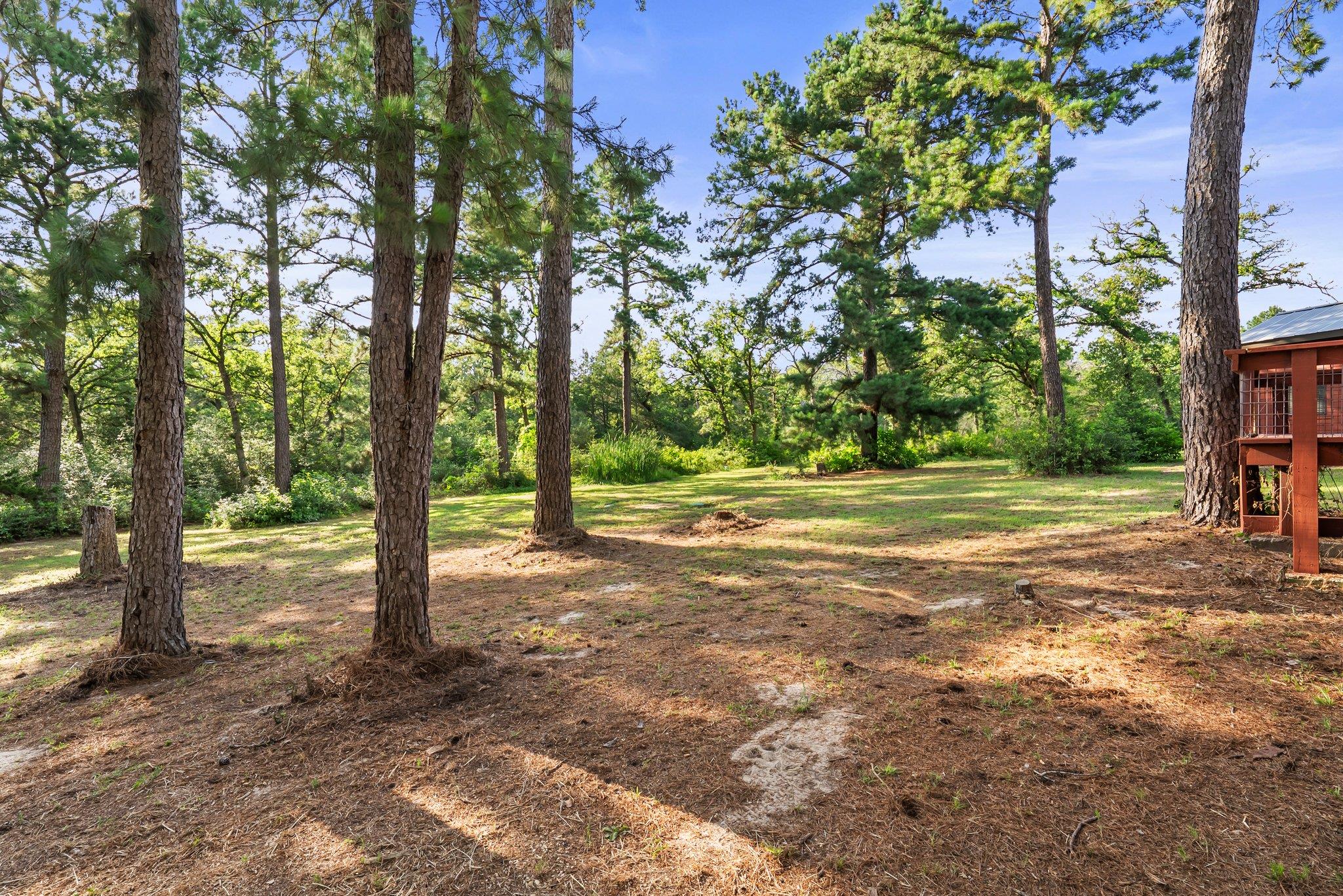 870 Sand Hills Rd, Red Rock, TX 78662