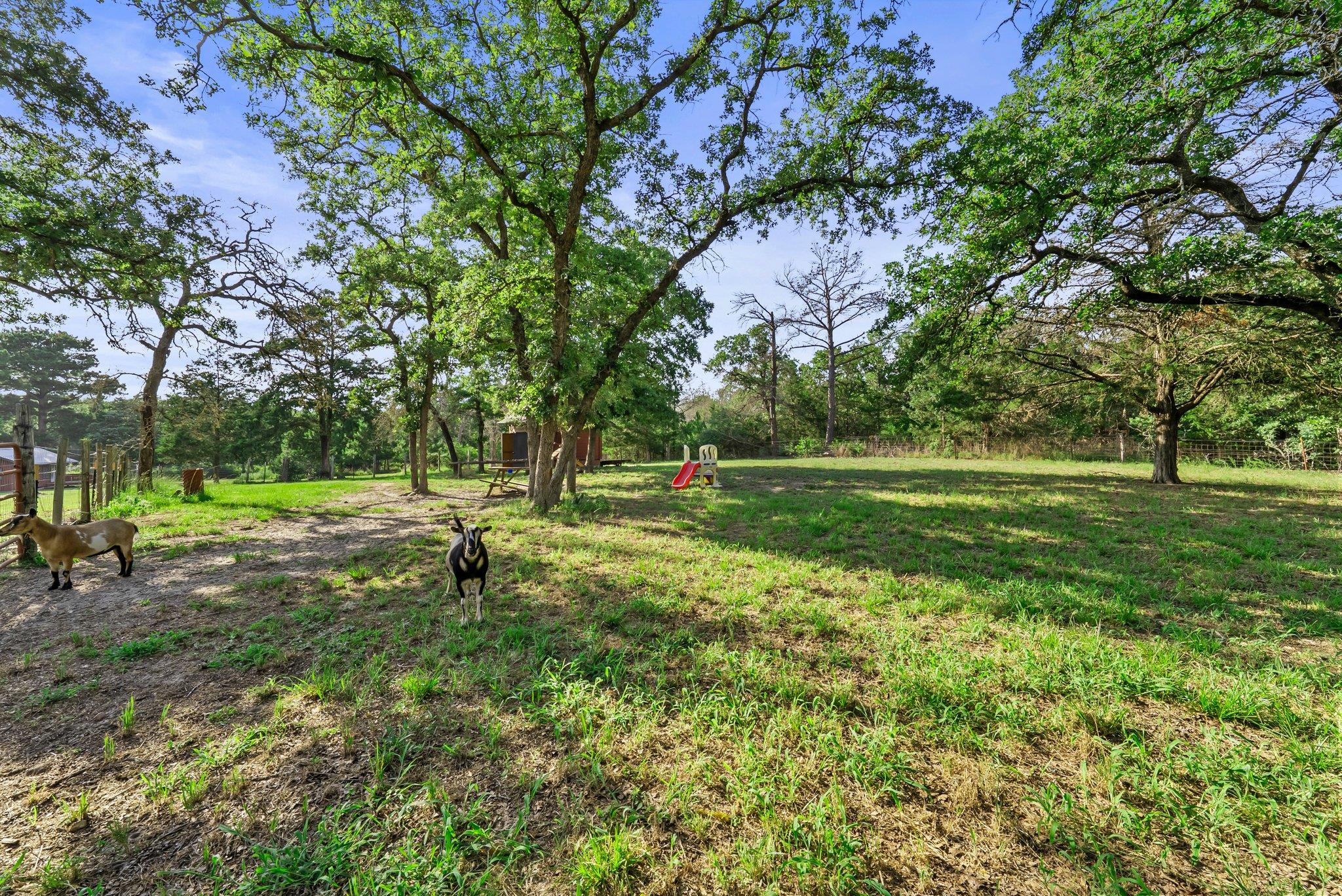 870 Sand Hills Rd, Red Rock, TX 78662