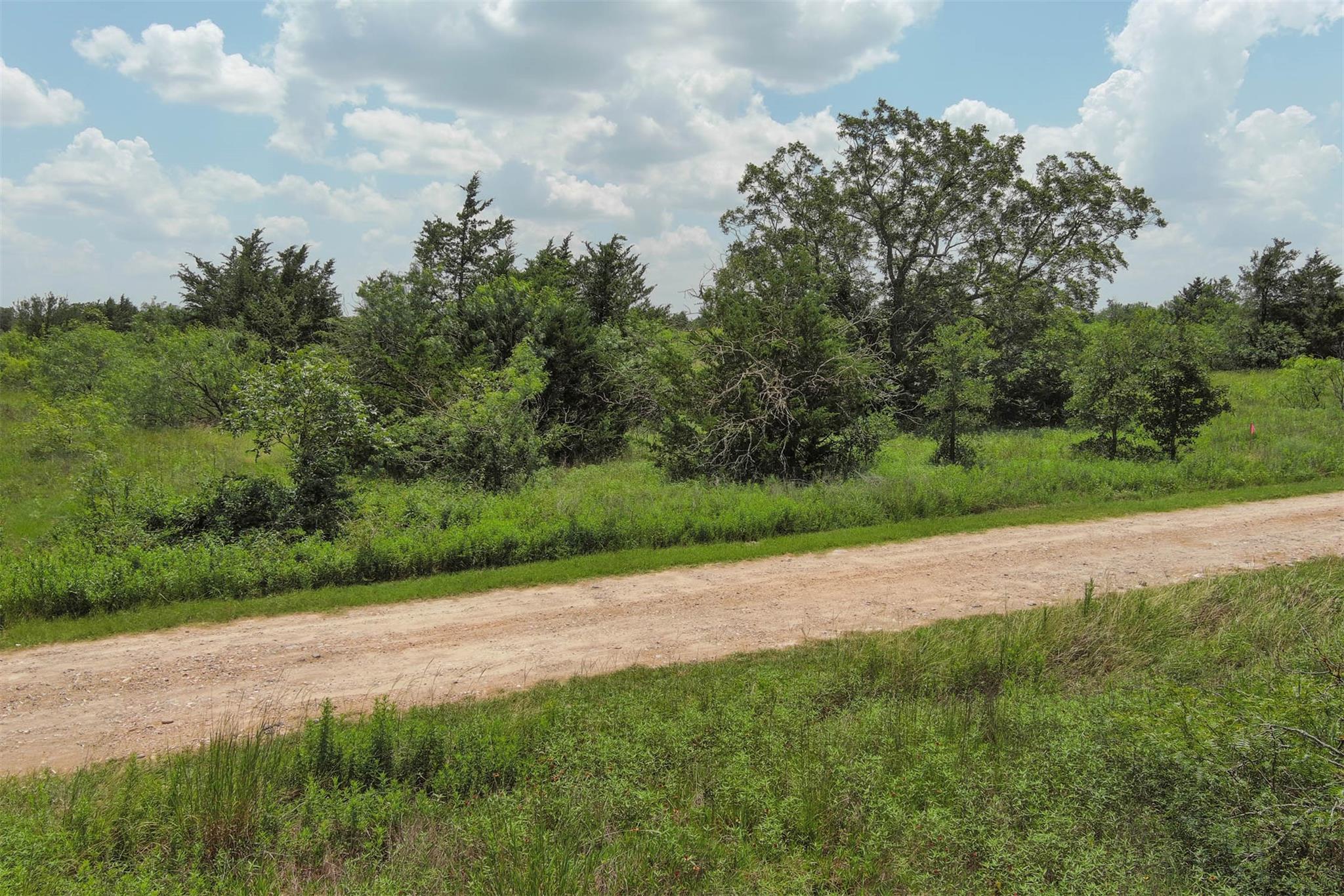 TBD McDonald Ln W # J. Greene Tract, Cedar Creek, TX 78612
