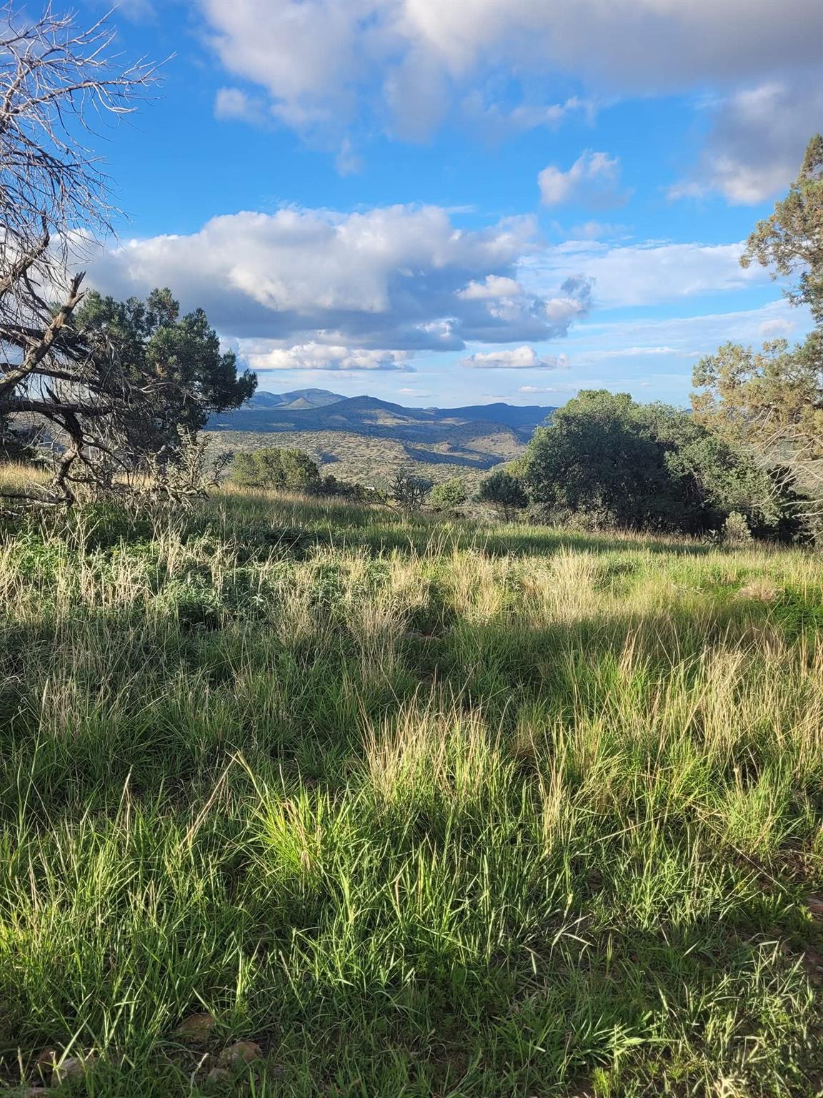 213 Circle C Ave, FortDavis, TX 79734