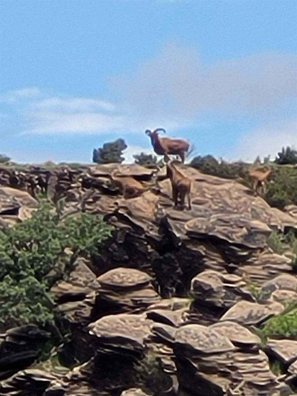 213 Circle C Ave, FortDavis, TX 79734