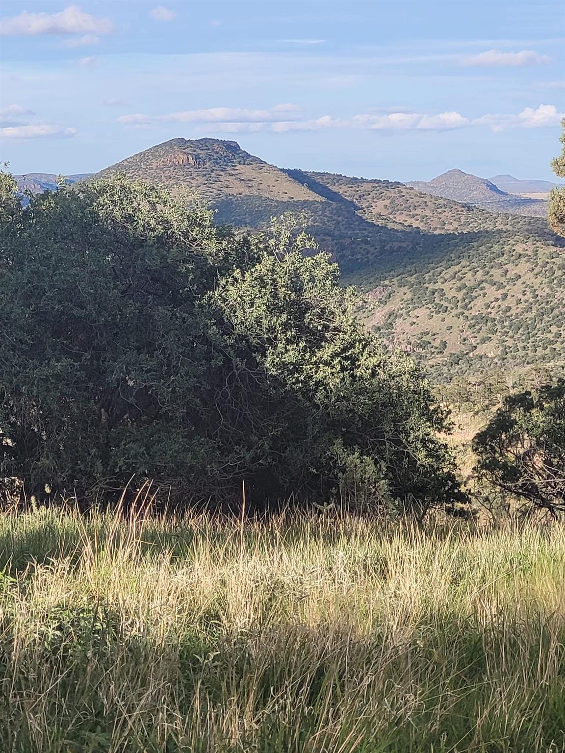 213 Circle C Ave, FortDavis, TX 79734