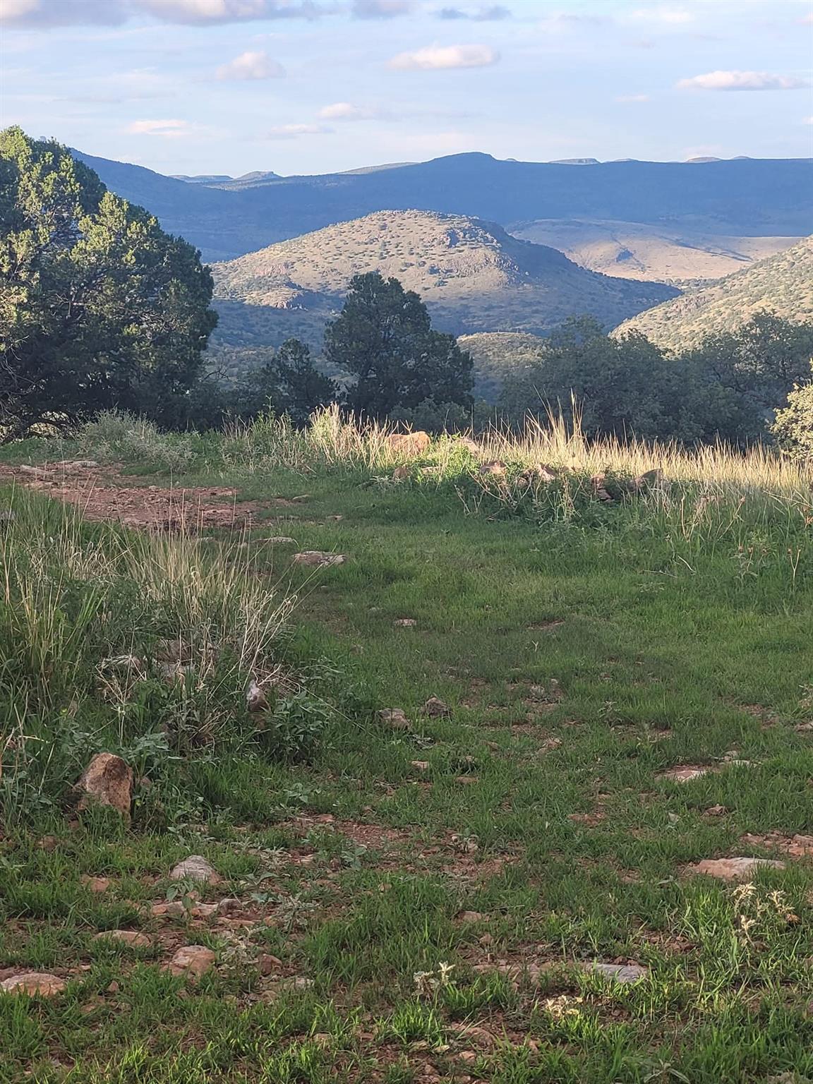 213 Circle C Ave, FortDavis, TX 79734