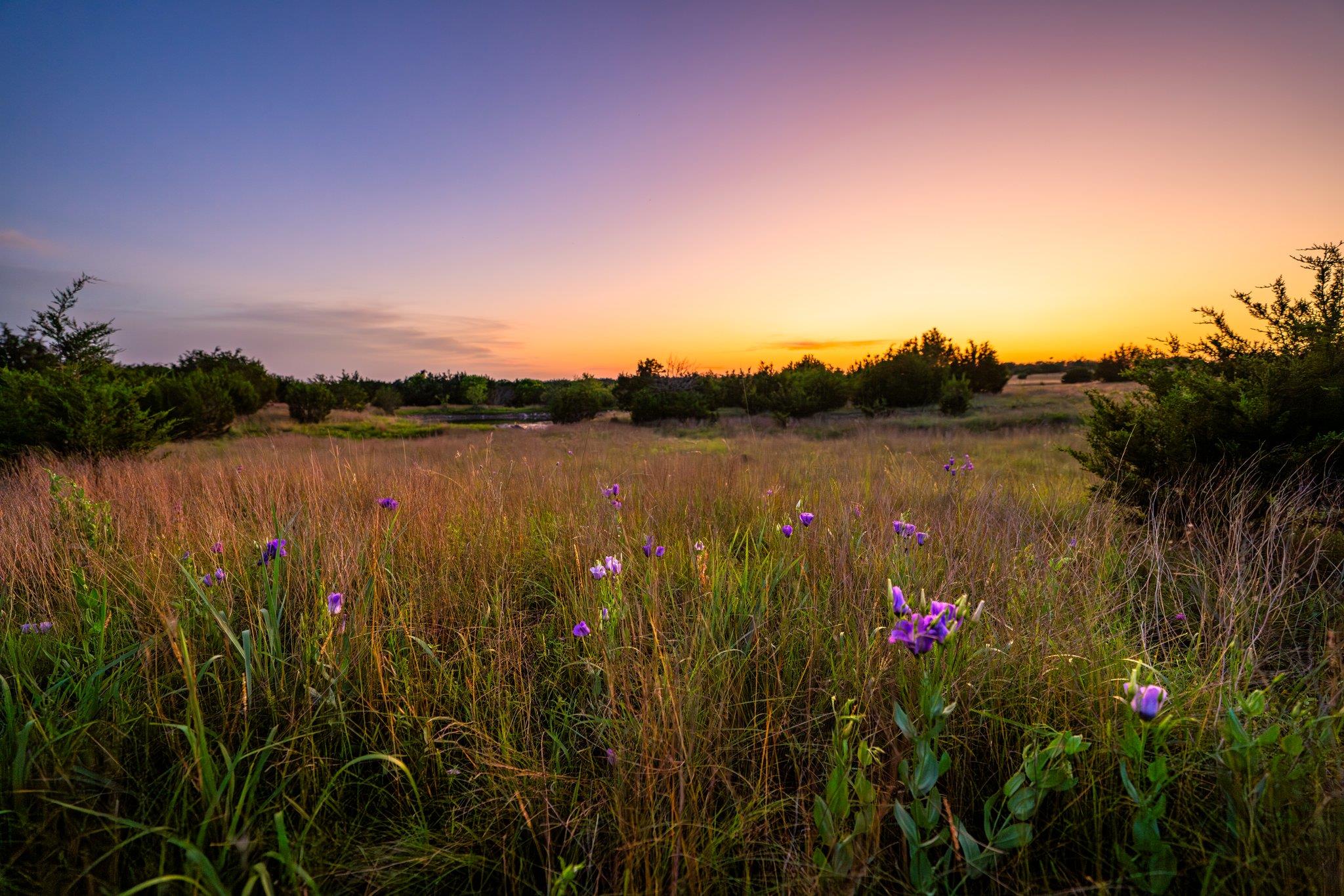 1305 County Road 3800, Lampasas, TX 76550