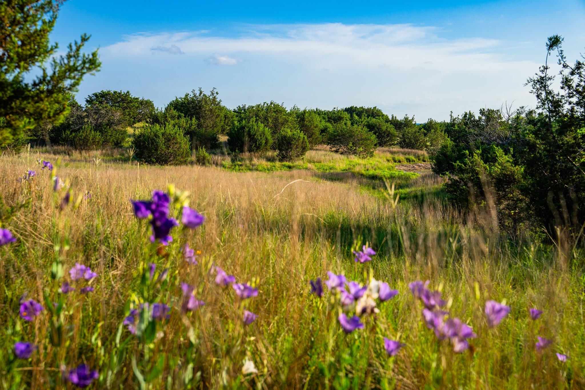 1305 County Road 3800, Lampasas, TX 76550