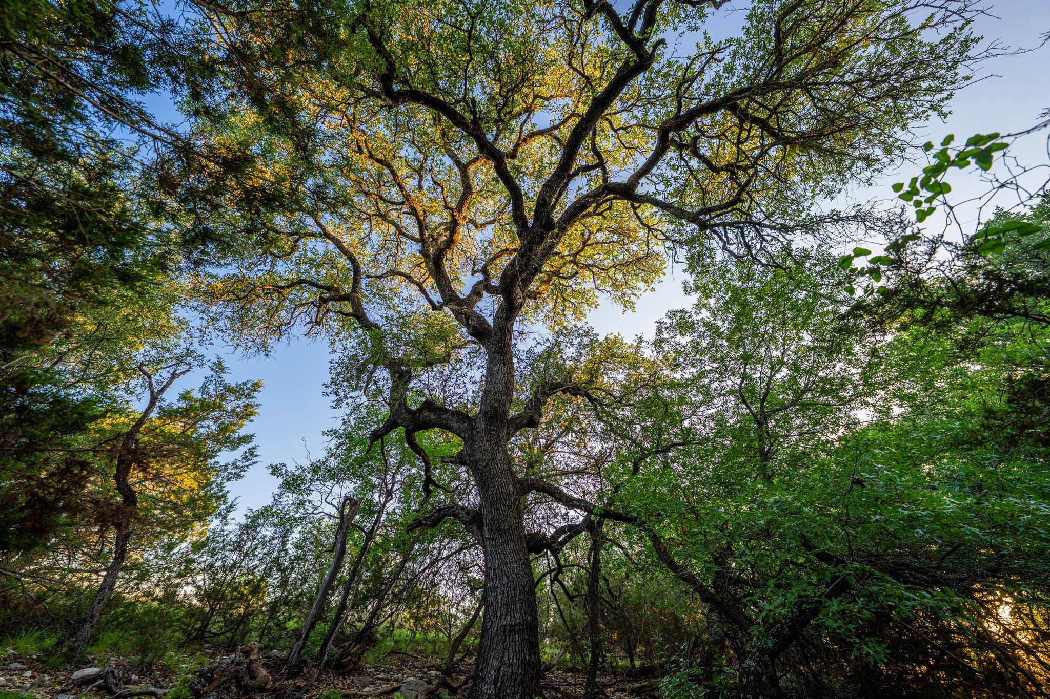 1305 County Road 3800, Lampasas, TX 76550