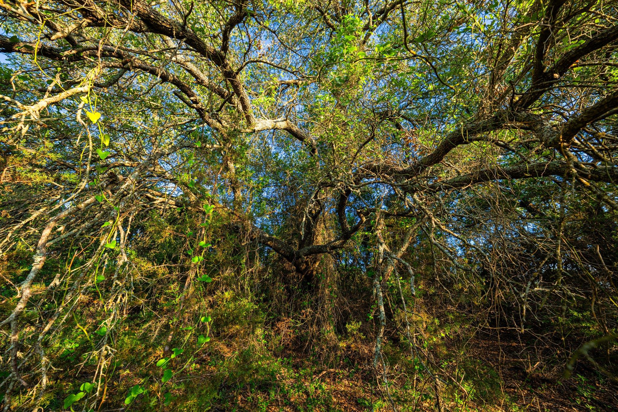 1305 County Road 3800, Lampasas, TX 76550