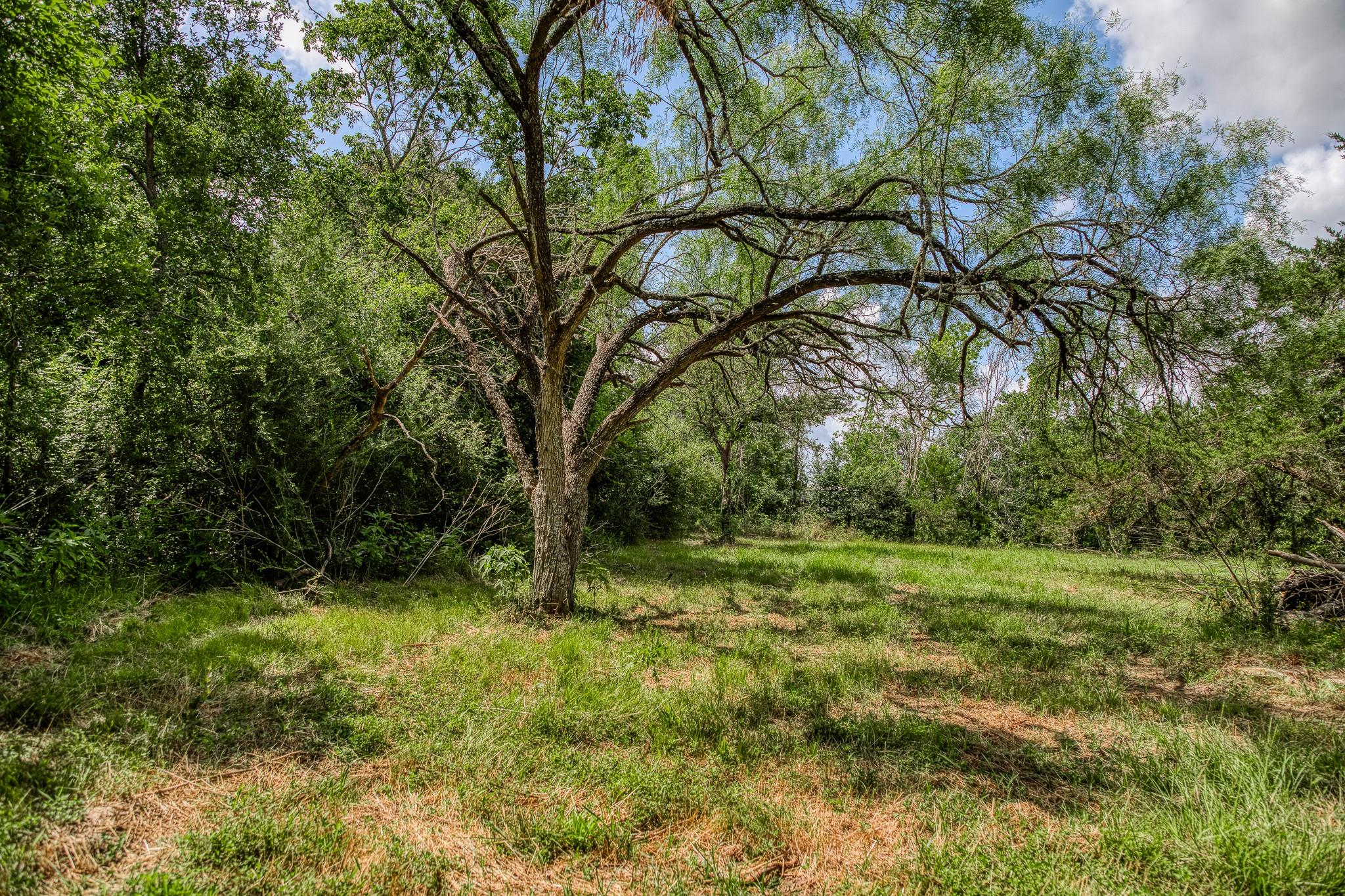 14749 S Dowling Rd, College Station, TX 77845