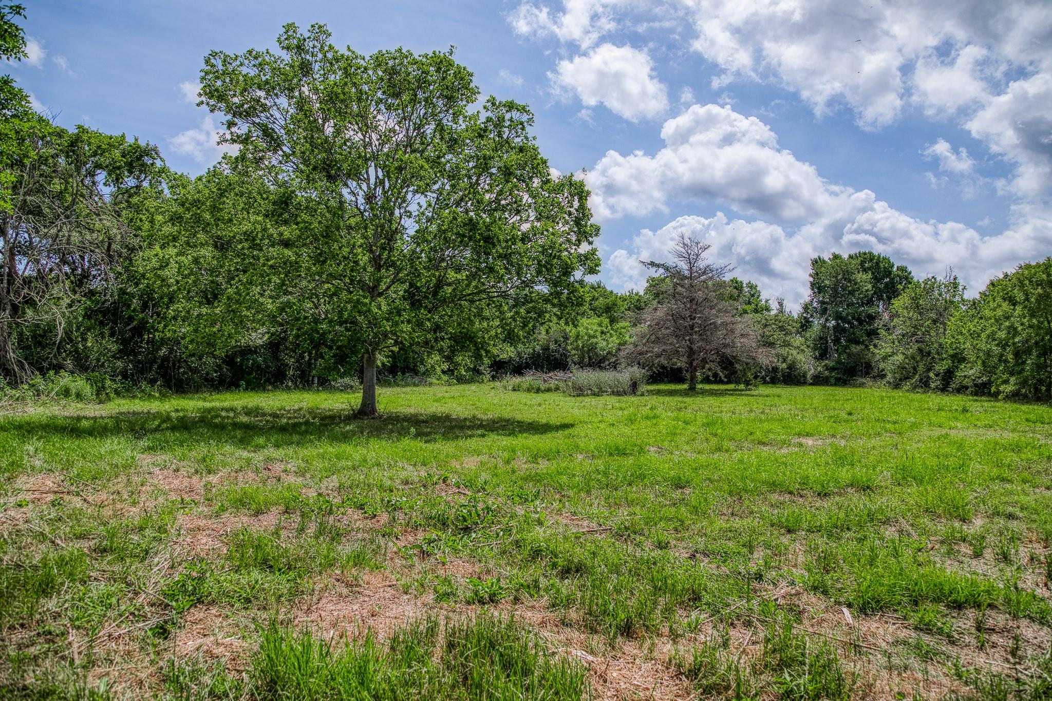 14749 S Dowling Rd, College Station, TX 77845