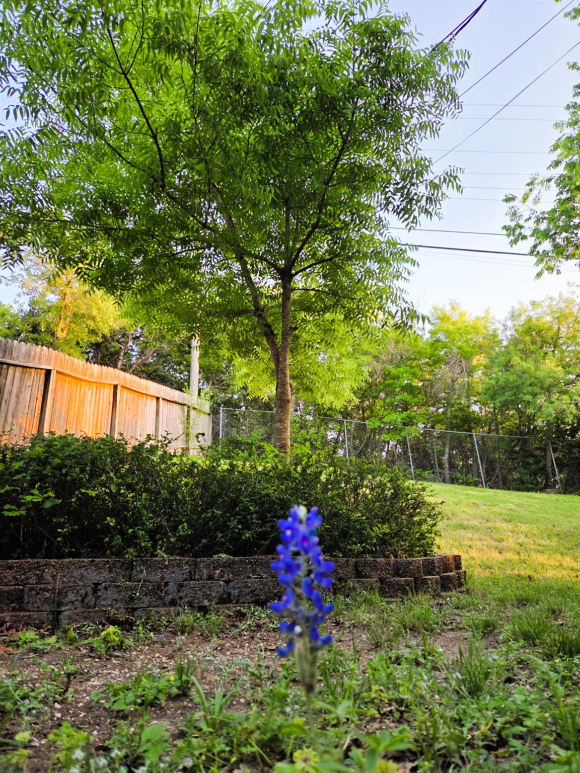1202 Bowen Ave, Copperas Cove, TX 76522
