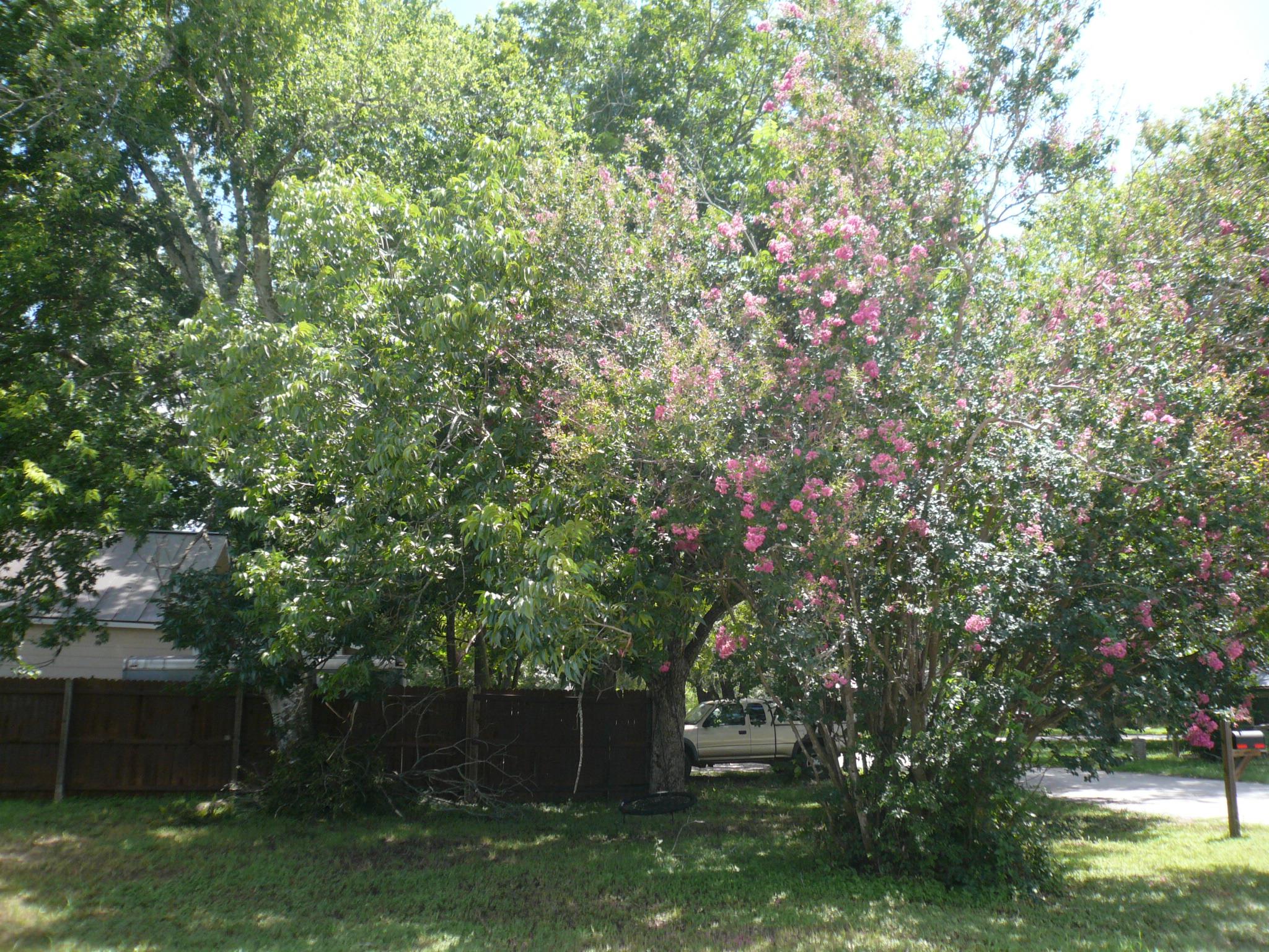 502 Ross St, Smithville, TX 78957