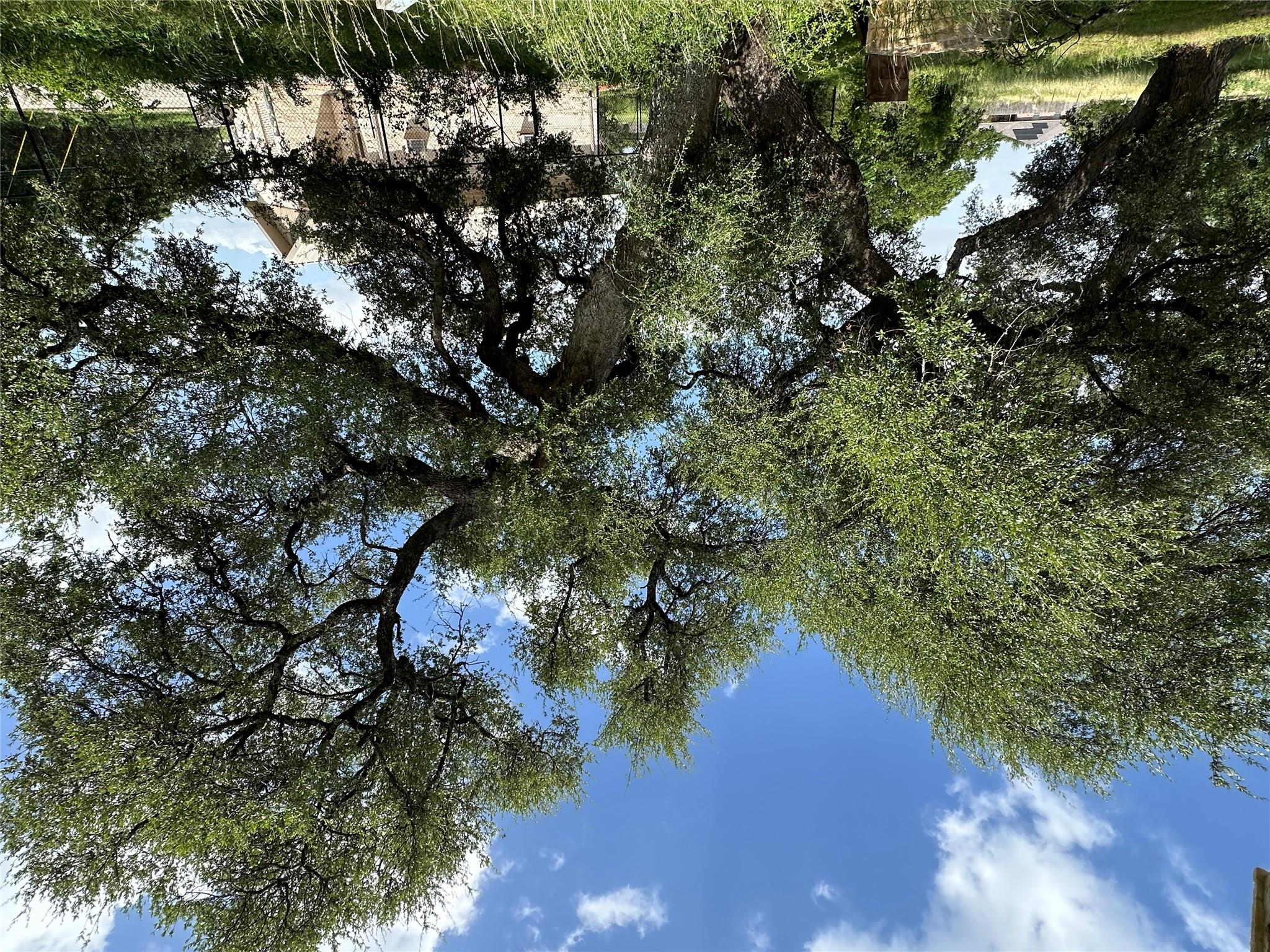 600 S Bagdad Rd, Leander, TX 78641