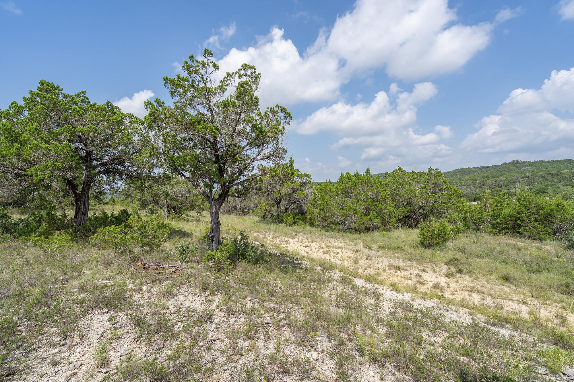 19705 Tyler Trl, Jonestown, TX 78645