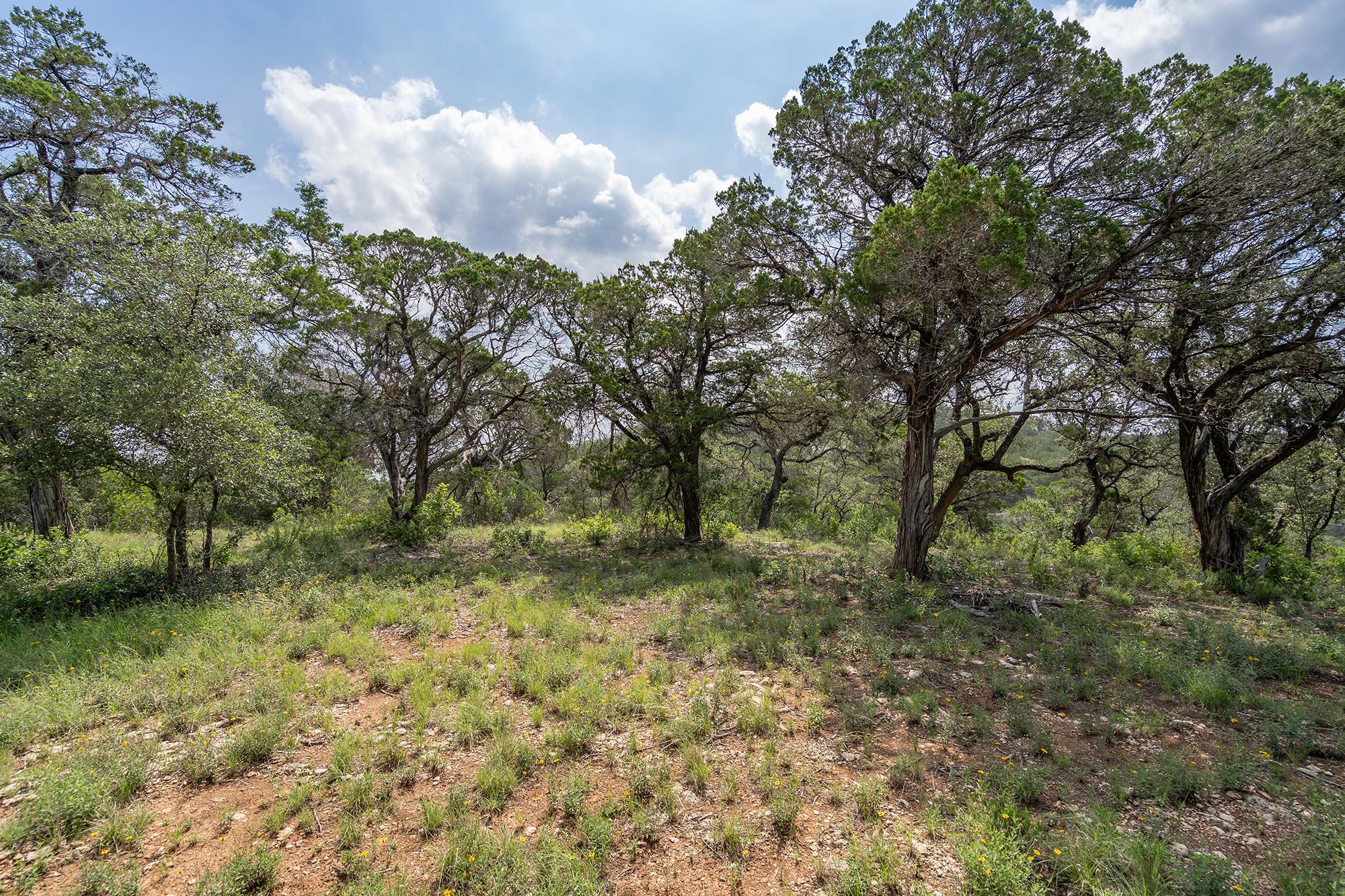 19705 Tyler Trl, Jonestown, TX 78645