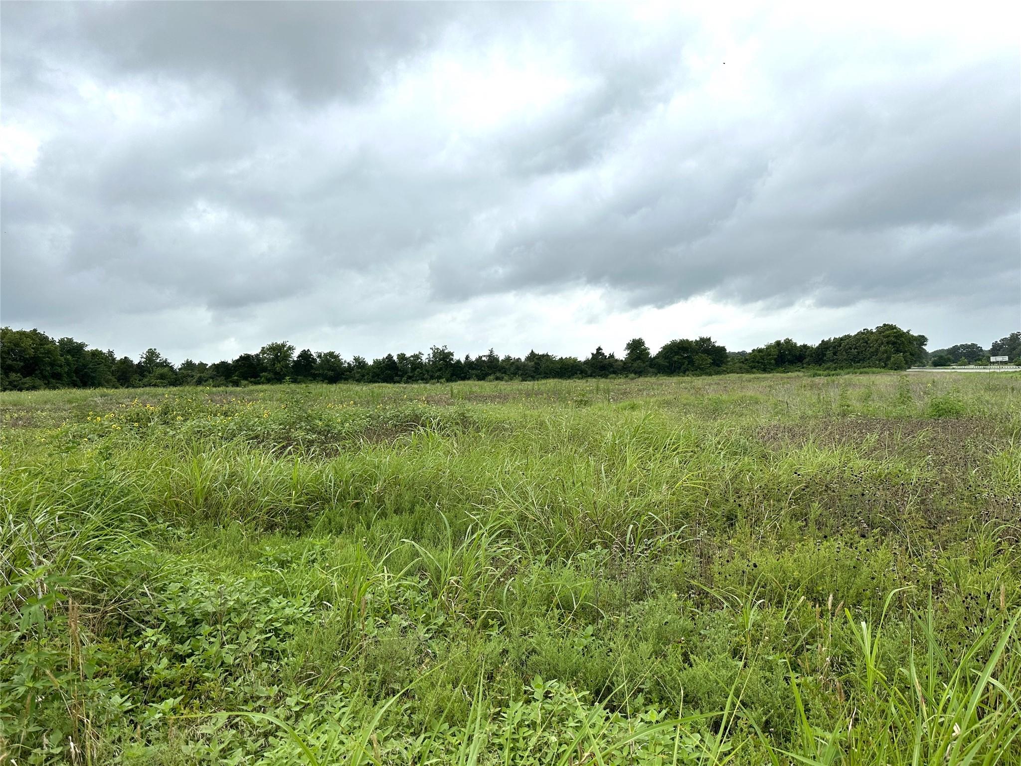 TBD Texas 237, Round Top, TX 78954