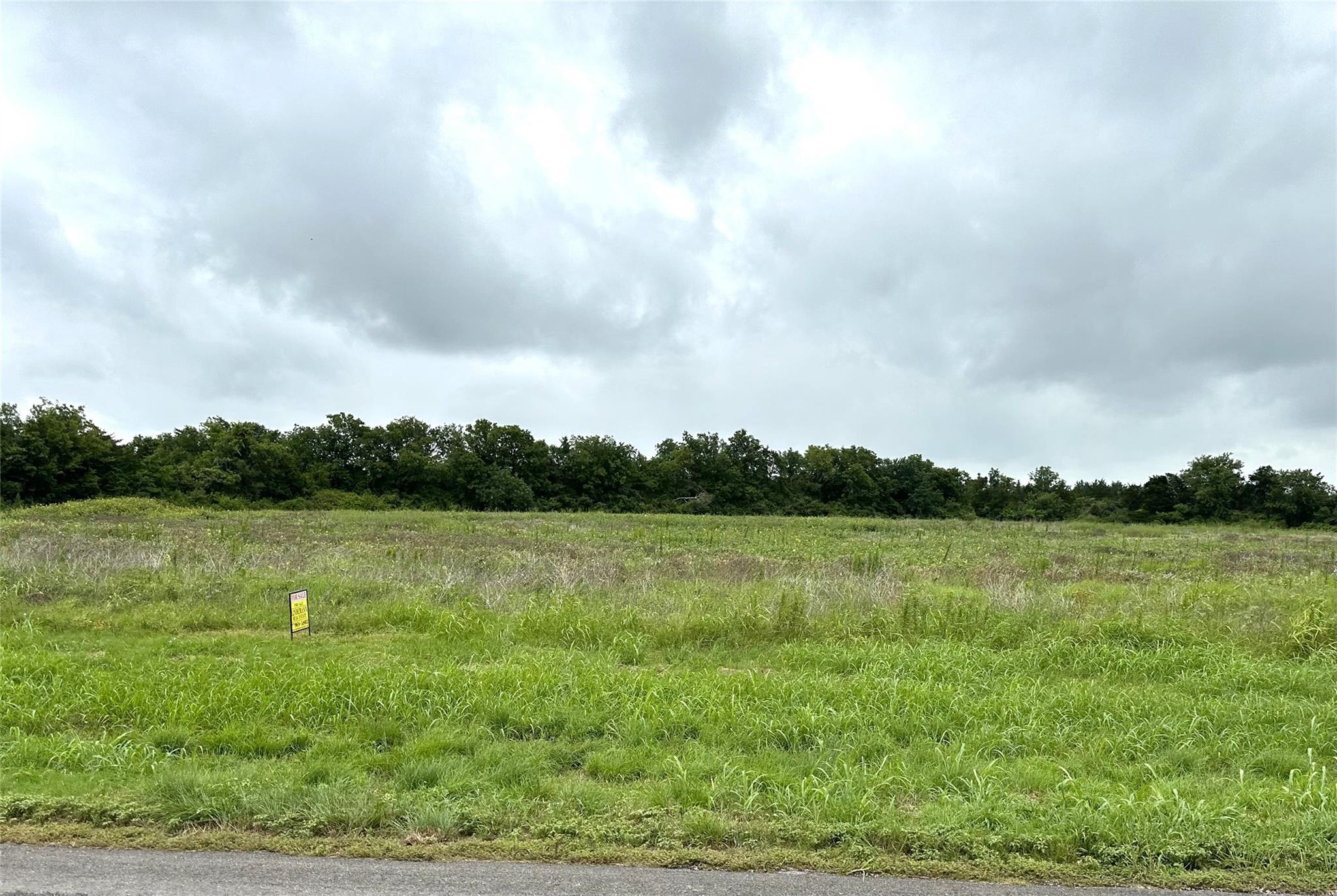 TBD Texas 237, Round Top, TX 78954