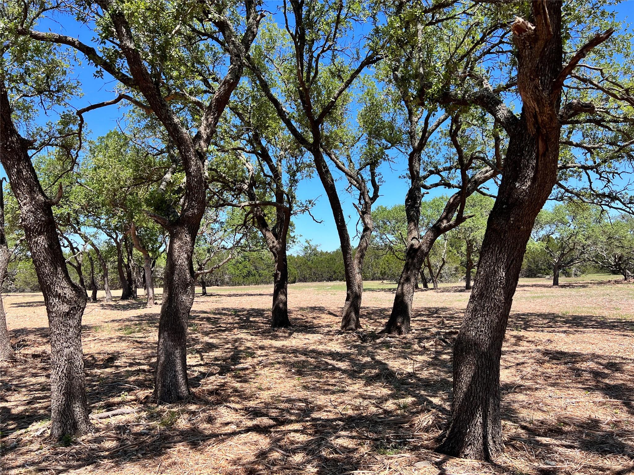 TBD Starfall Dr, Lampasas, TX 76550