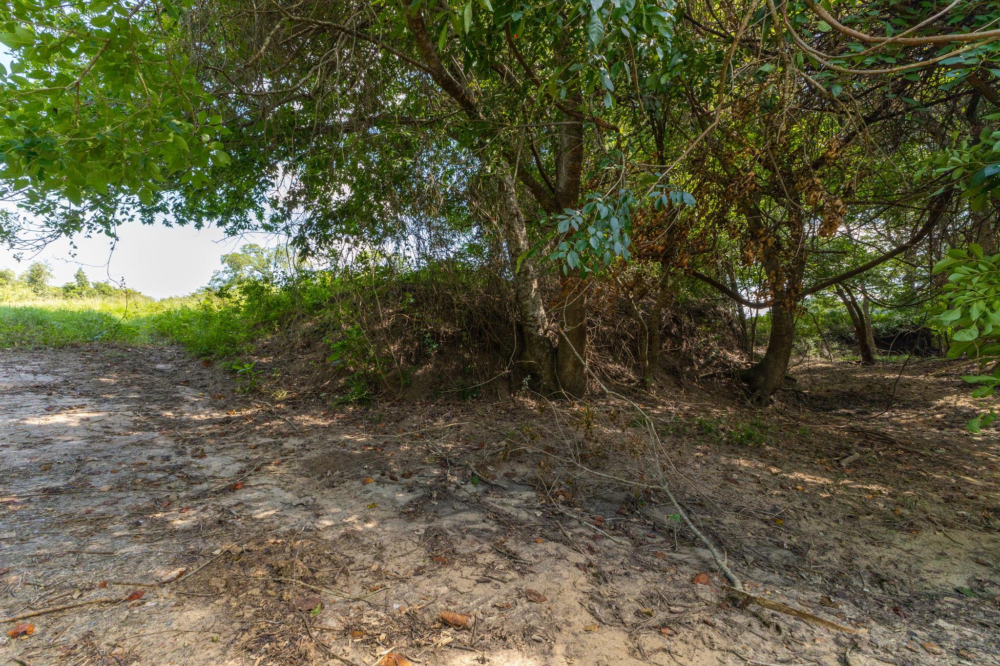 TBD CR 230, Weimar, TX 78962