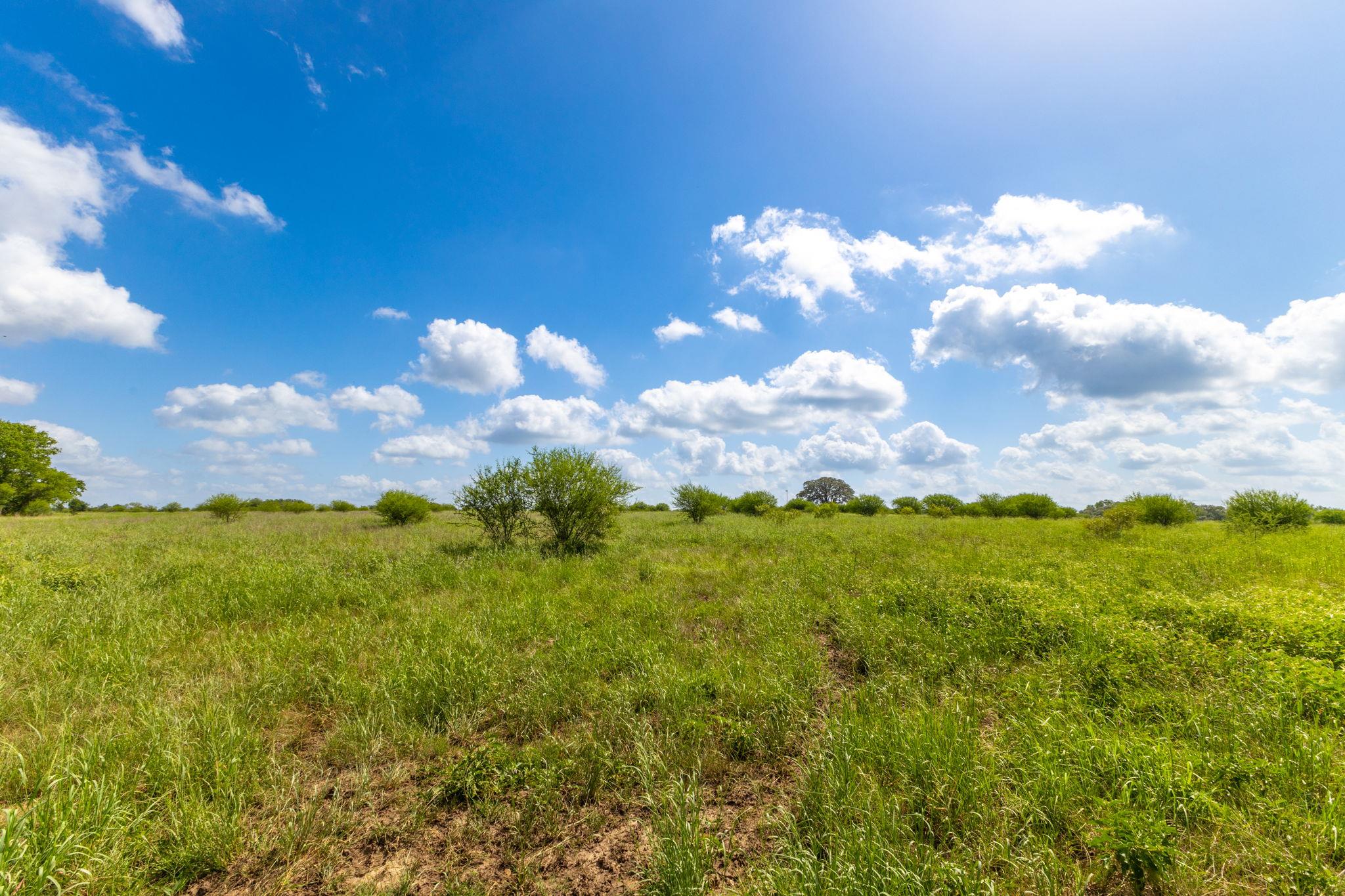 TBD CR 230, Weimar, TX 78962