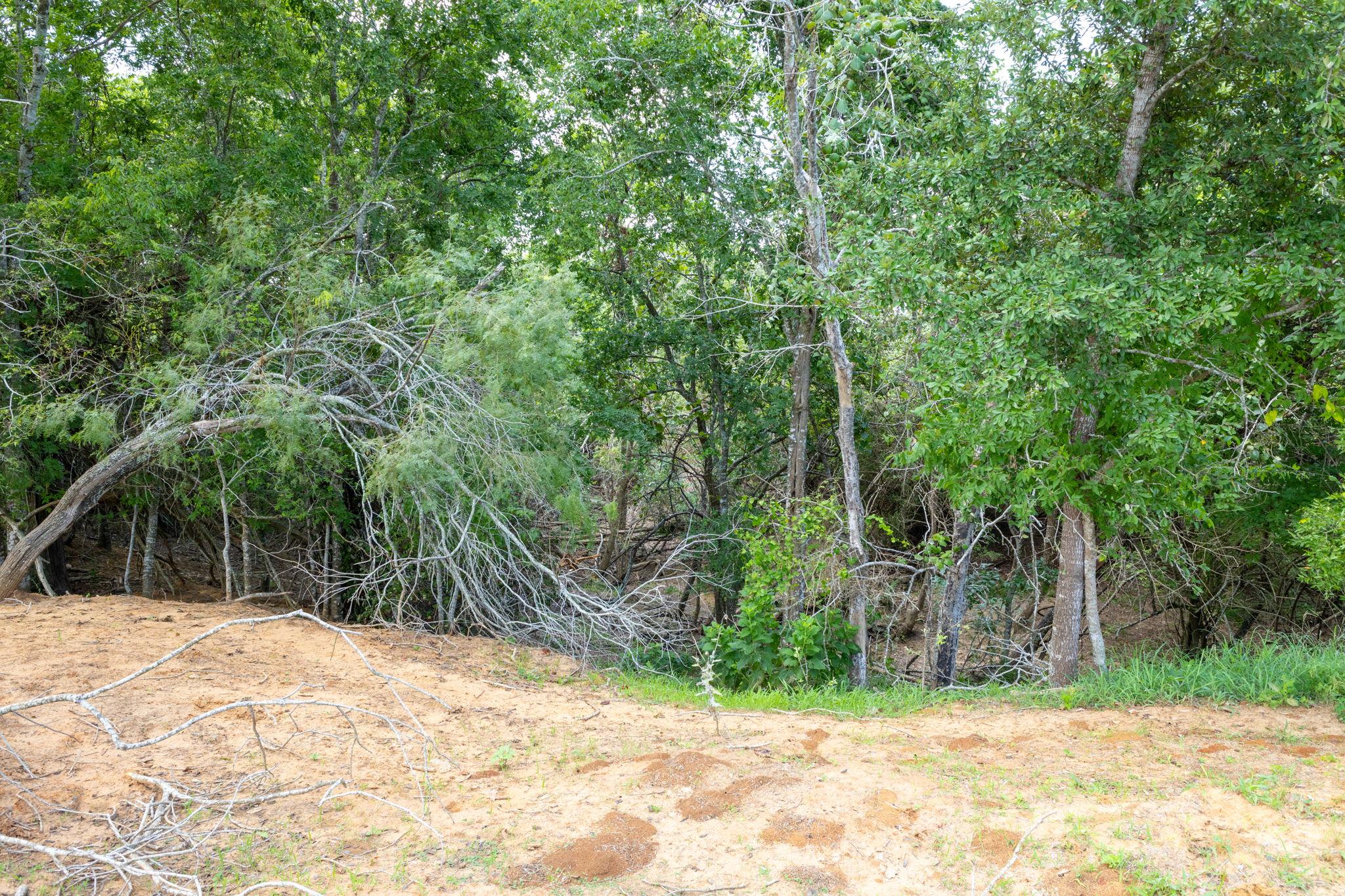 TBD CR 230, Weimar, TX 78962