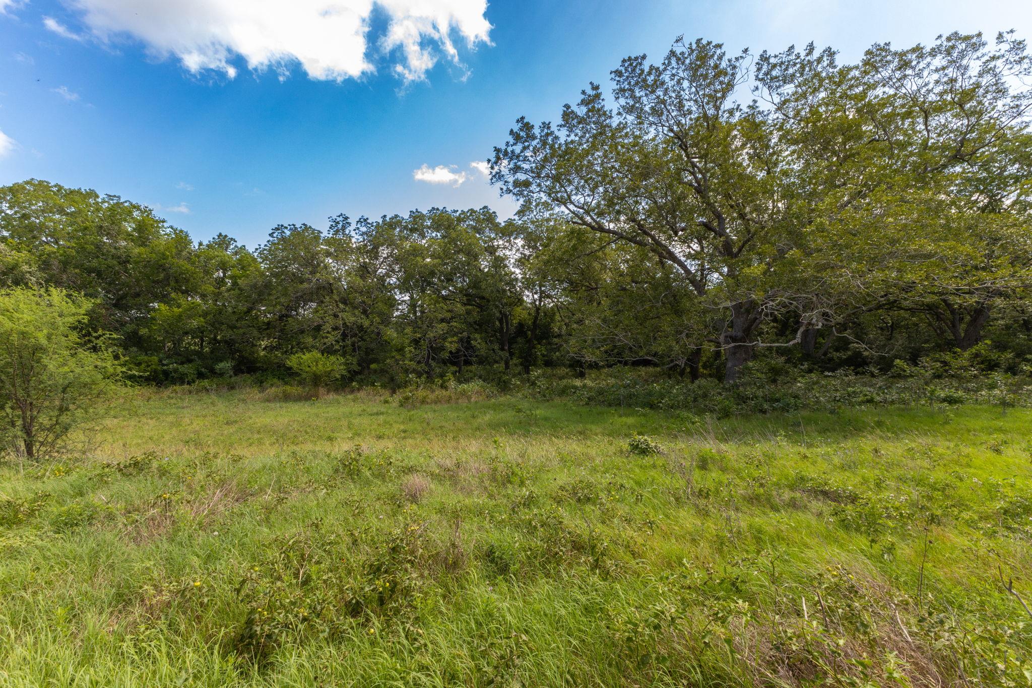 TBD CR 230, Weimar, TX 78962