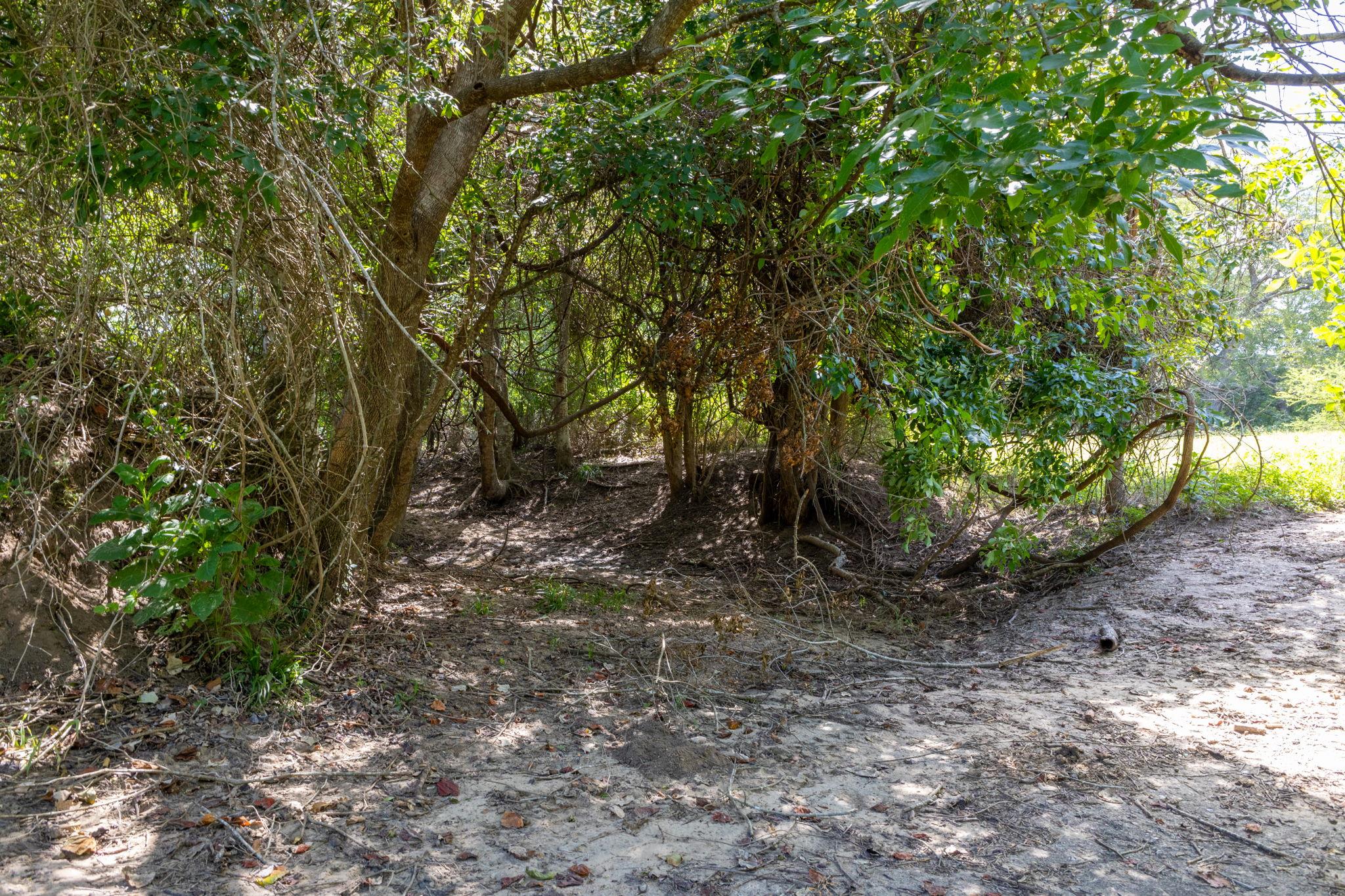 TBD CR 230, Weimar, TX 78962