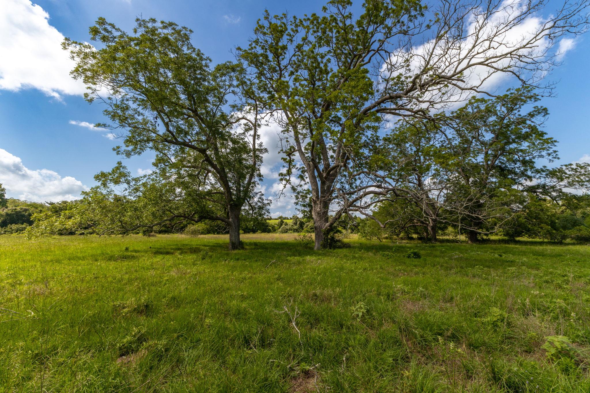 TBD CR 230, Weimar, TX 78962