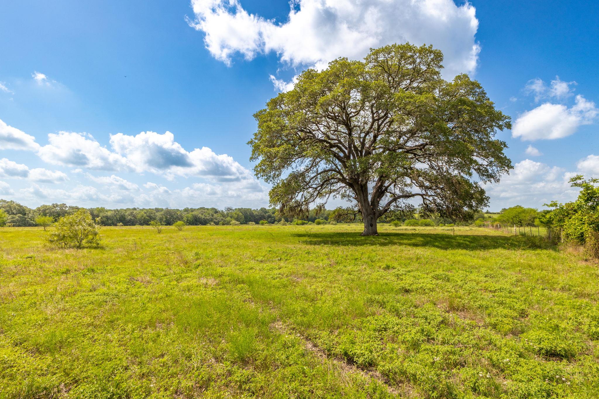 TBD CR 230, Weimar, TX 78962