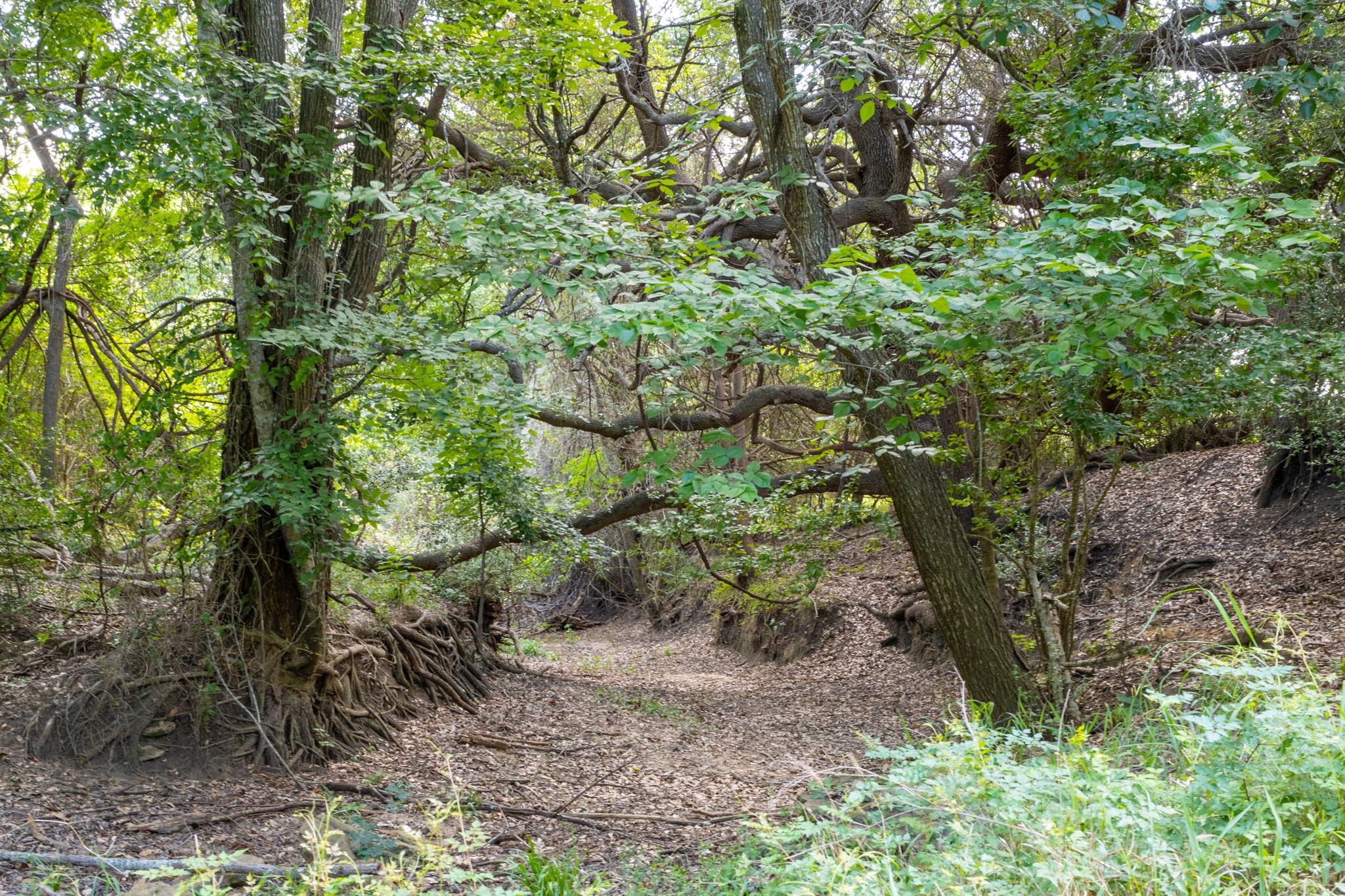 TBD CR 230, Weimar, TX 78962