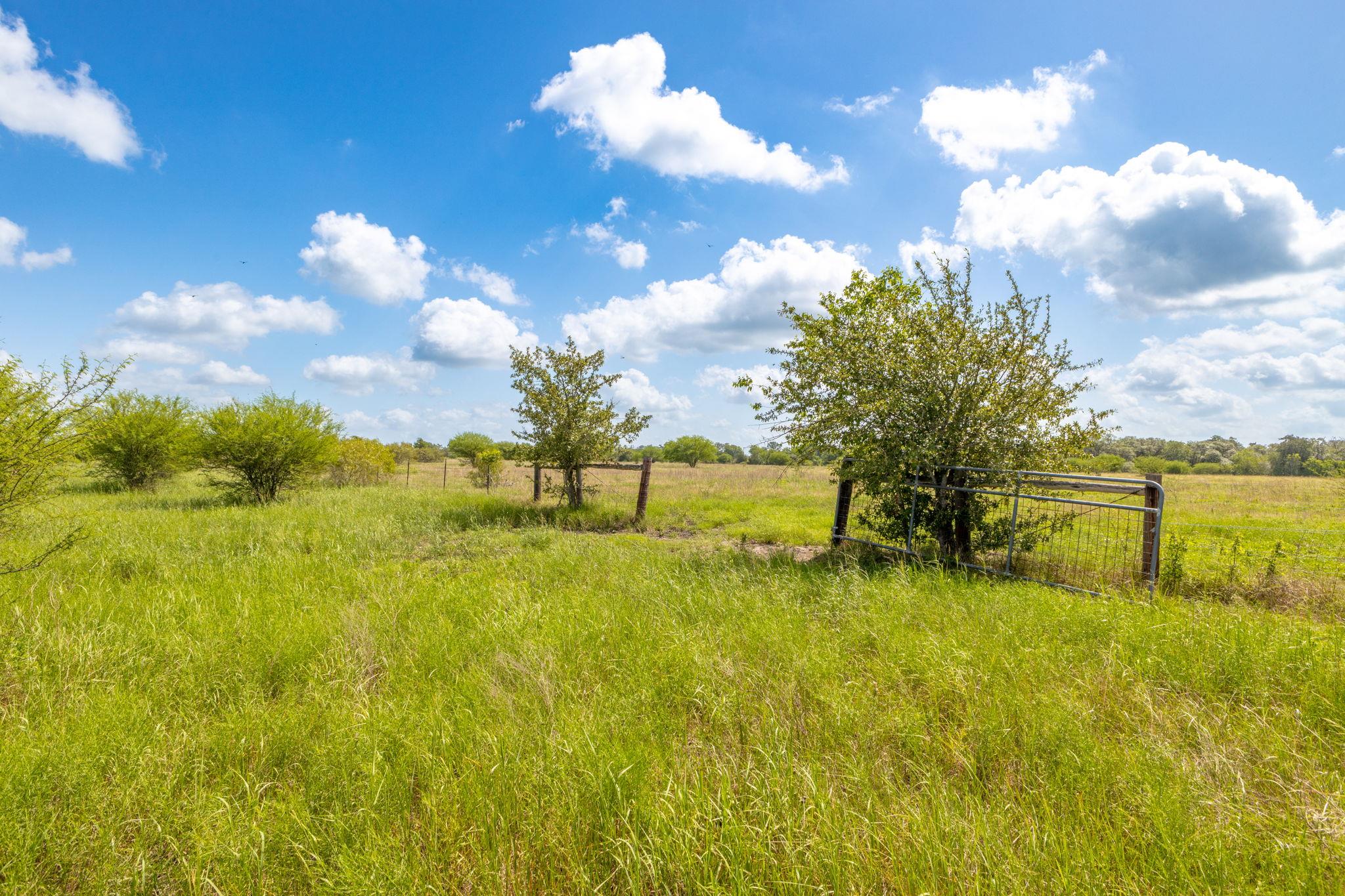 TBD CR 230, Weimar, TX 78962