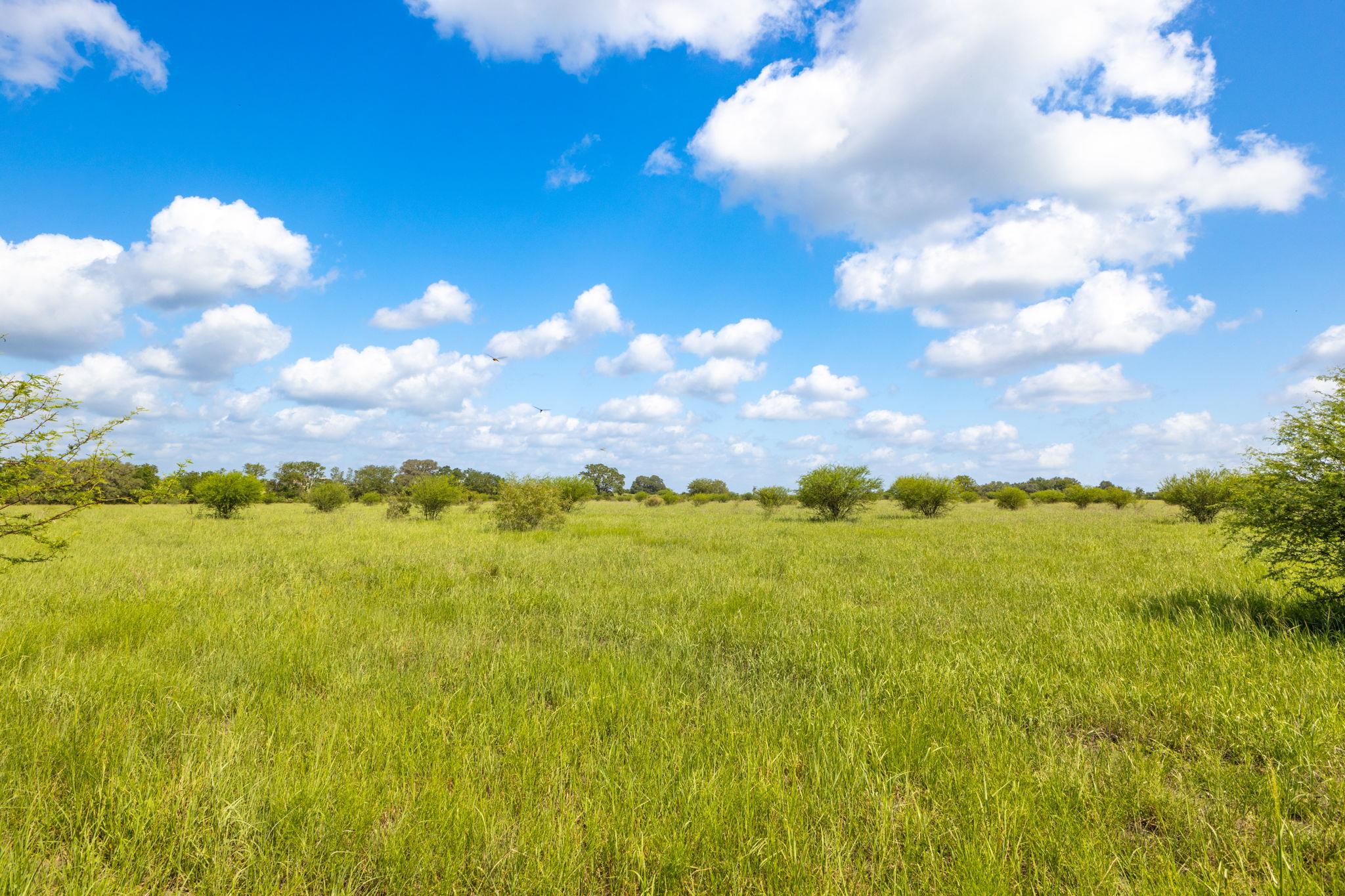 TBD CR 230, Weimar, TX 78962