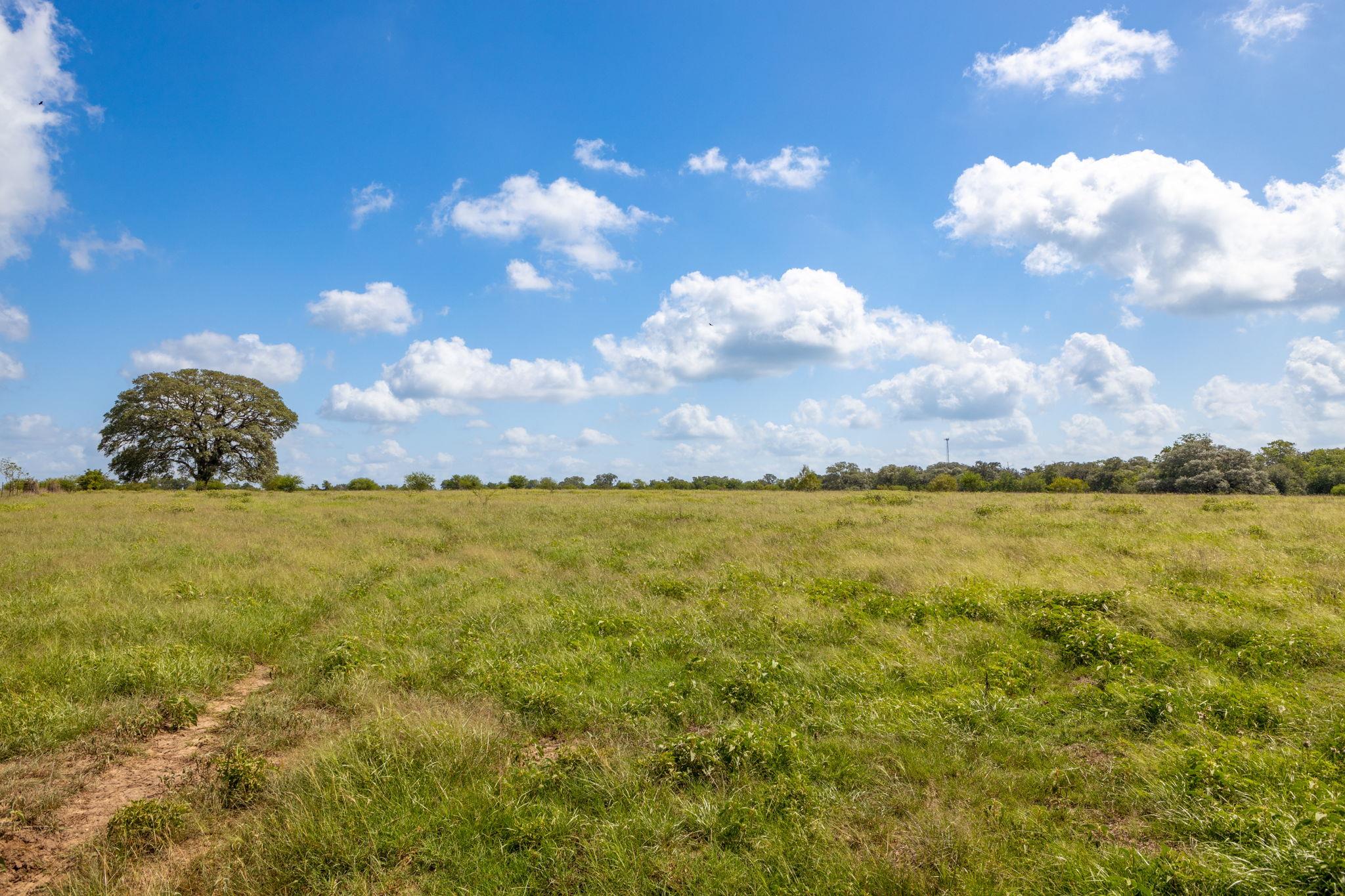 TBD CR 230, Weimar, TX 78962