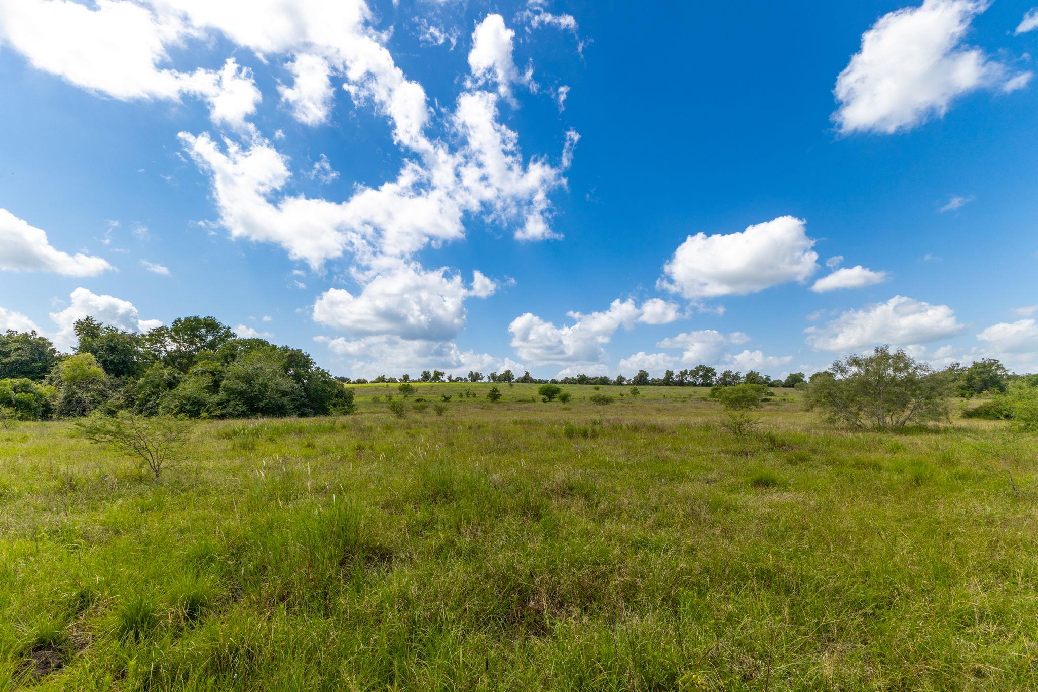 TBD CR 230, Weimar, TX 78962