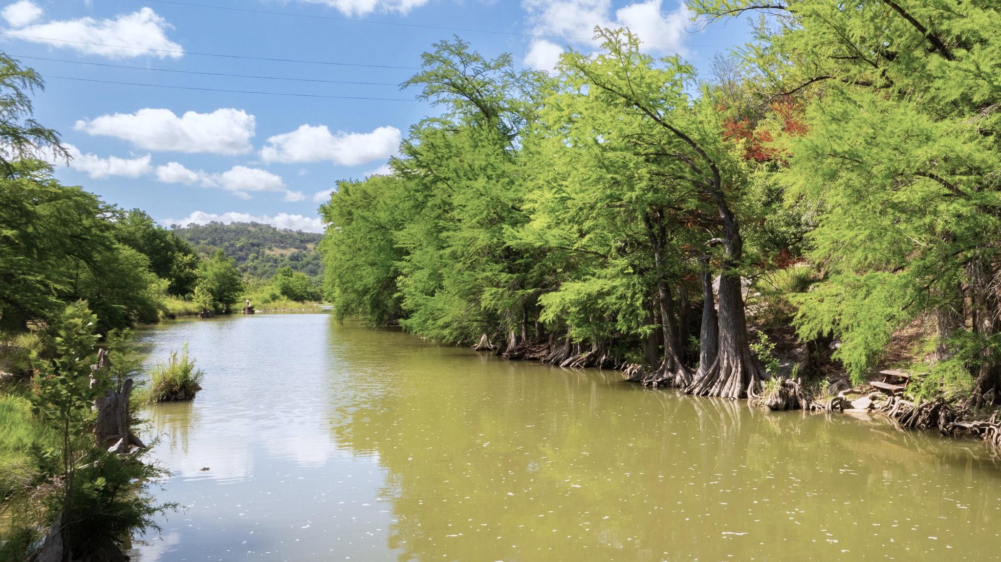 172 Bluff Trl, Dripping Springs, TX 78620