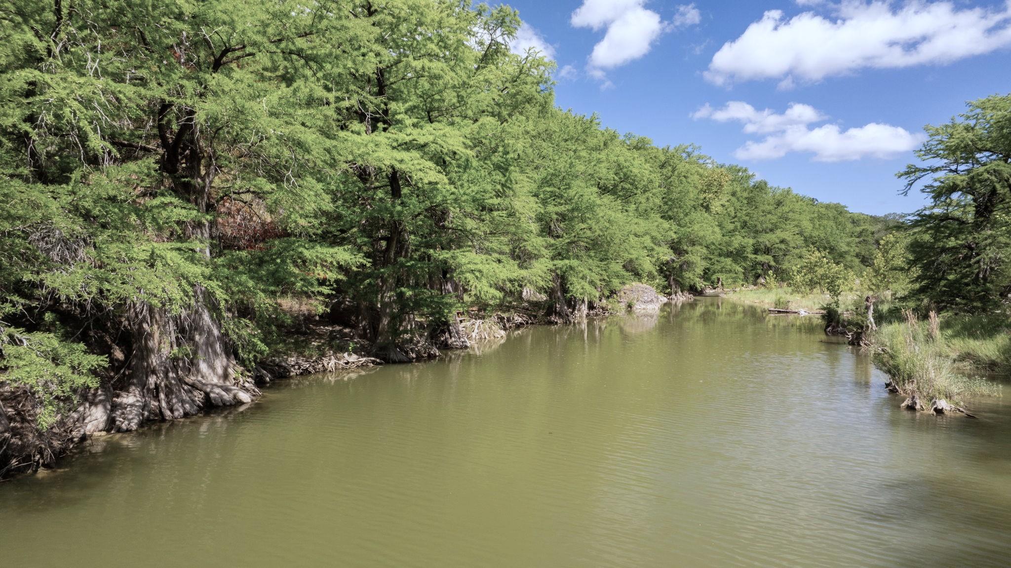 172 Bluff Trl, Dripping Springs, TX 78620