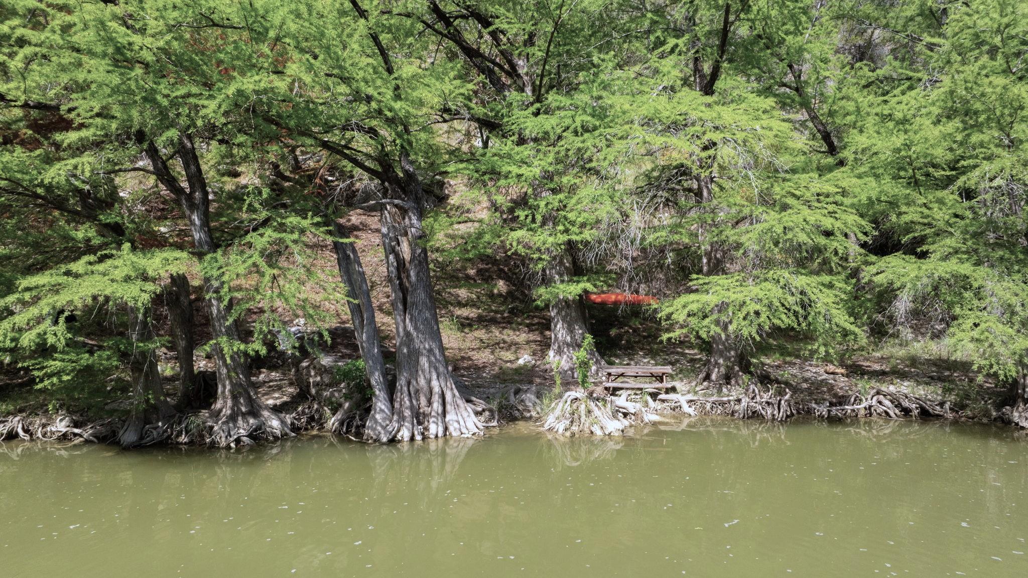 172 Bluff Trl, Dripping Springs, TX 78620