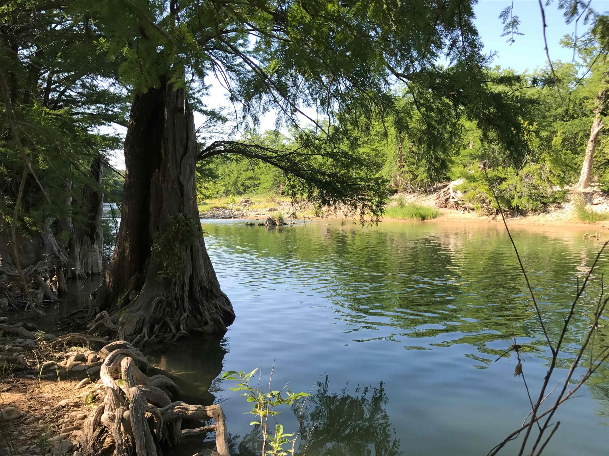 172 Bluff Trl, Dripping Springs, TX 78620