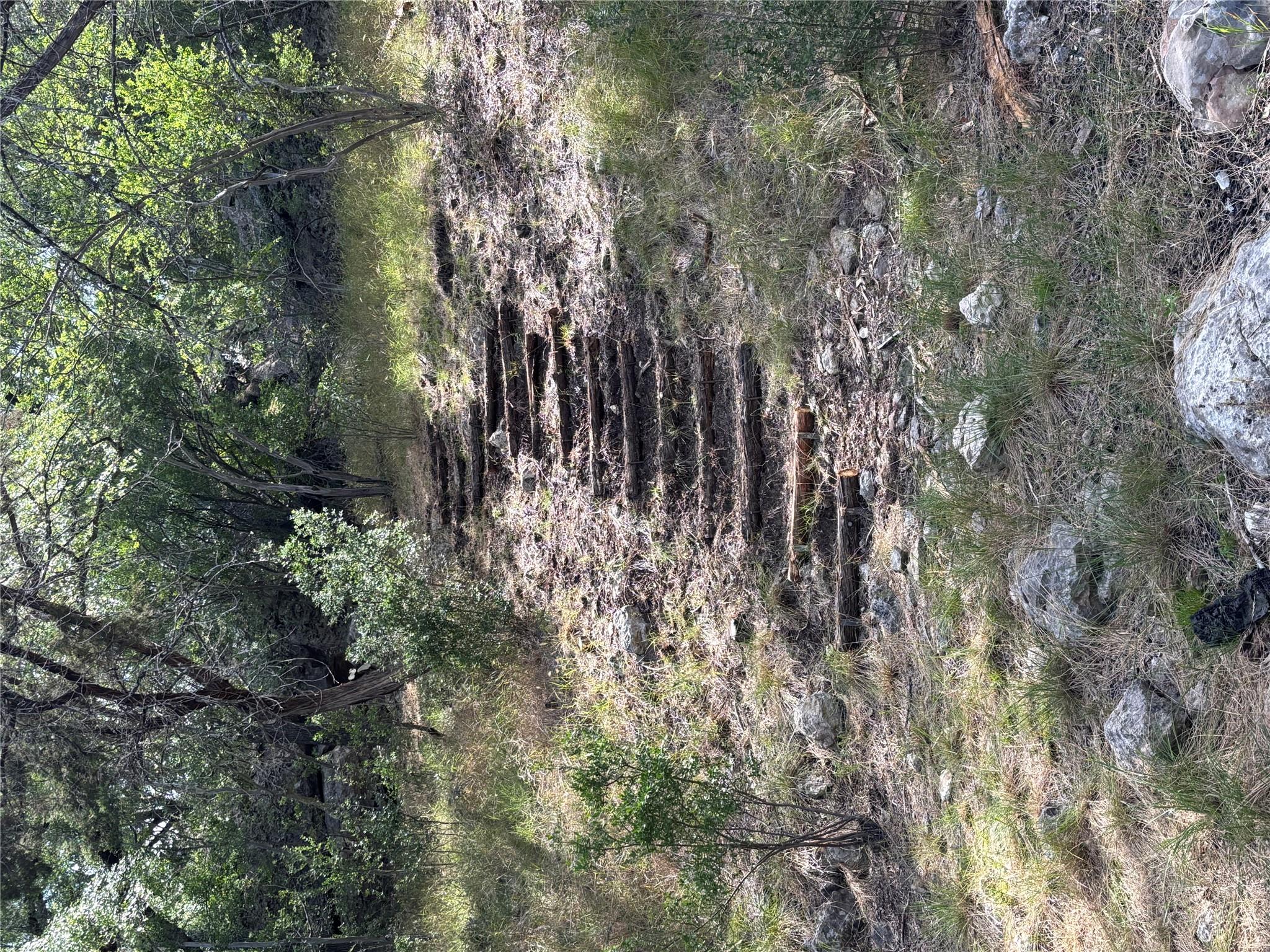 172 Bluff Trl, Dripping Springs, TX 78620