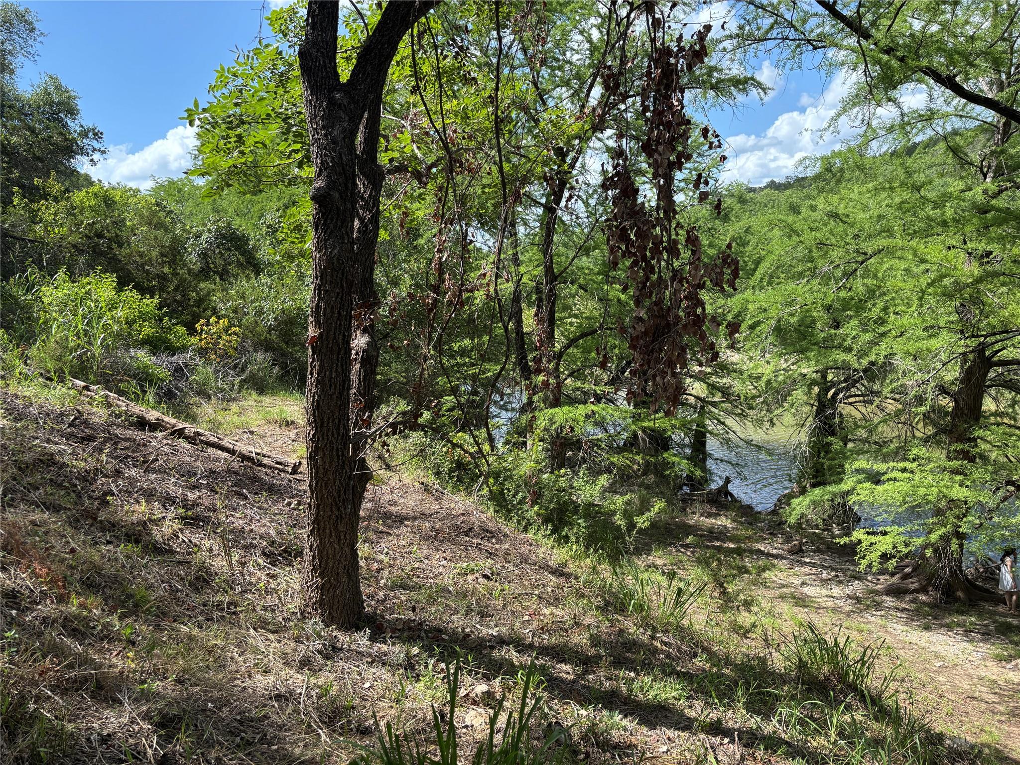 172 Bluff Trl, Dripping Springs, TX 78620