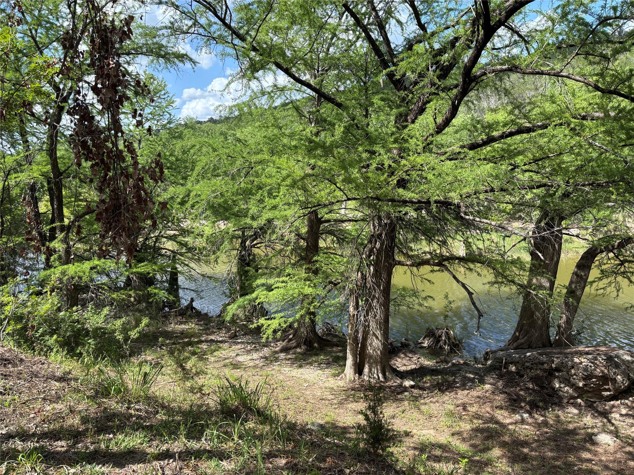 172 Bluff Trl, Dripping Springs, TX 78620