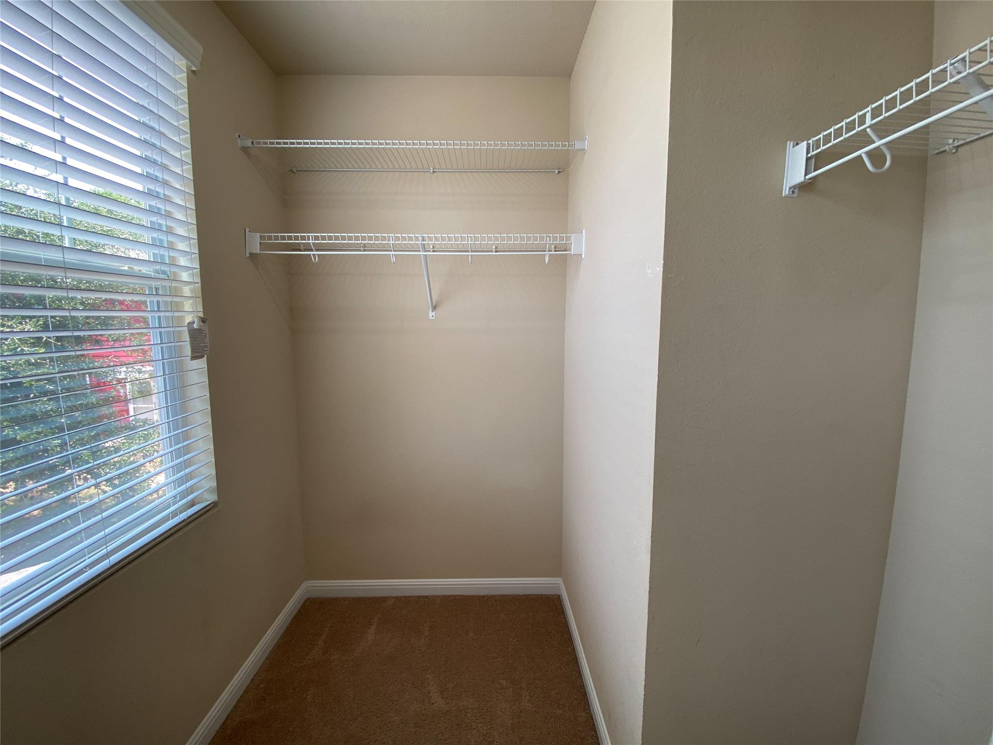 320 Trestle Tree, San Marcos, TX 78666